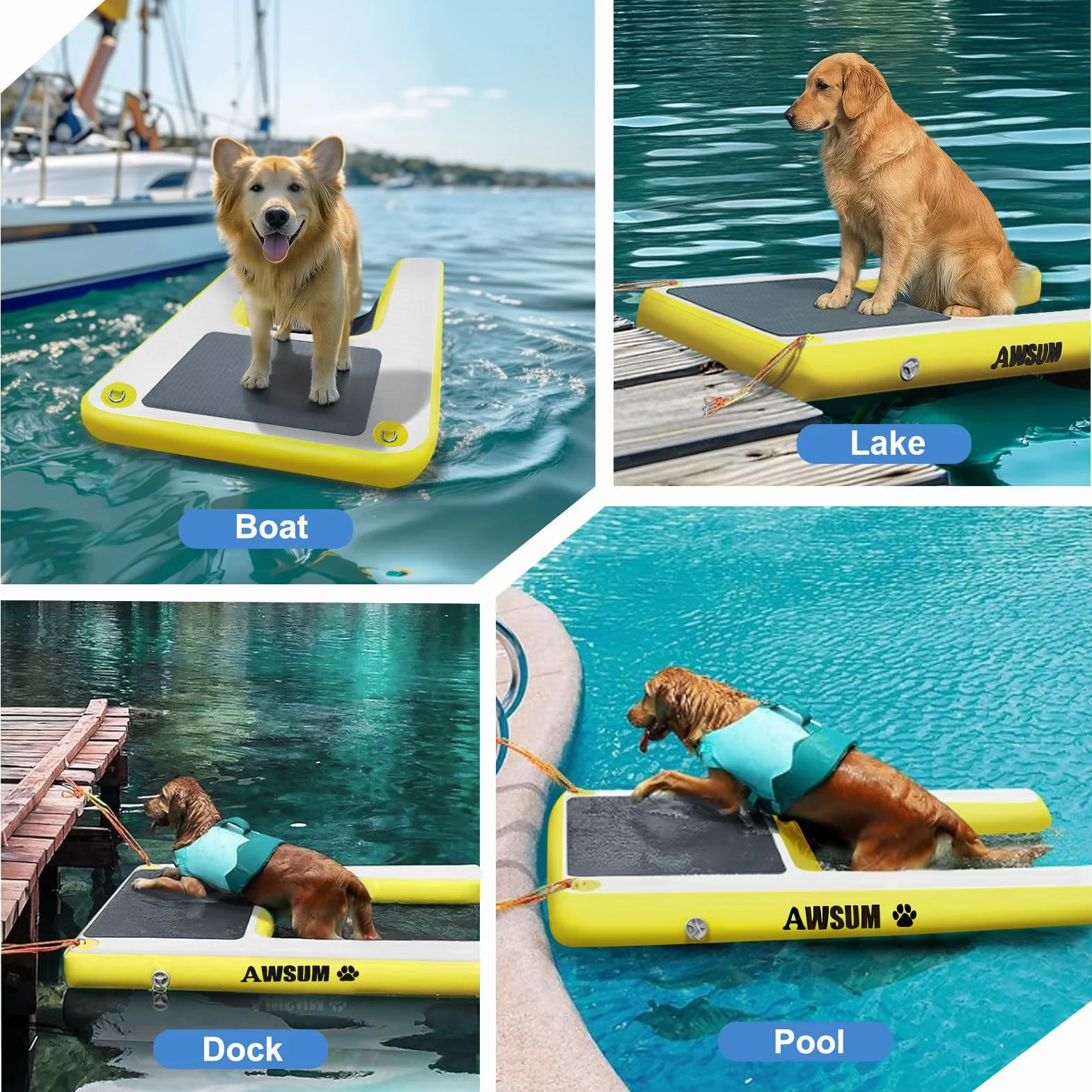 AWSUM Rampe d'eau Gonflable pour Chien 150x100x15cm avec Tapis antidérapant Piscine Lacs