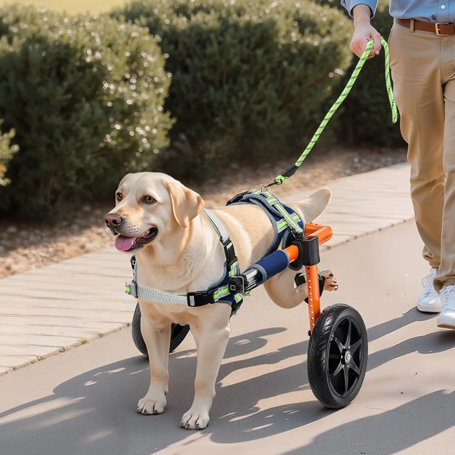 VEVOR Fauteuil Roulant pour Chien Pattes Arrières 2 Roues Taille M 15,88-21,77 kg Réglable Hauteur Largeur Longueur