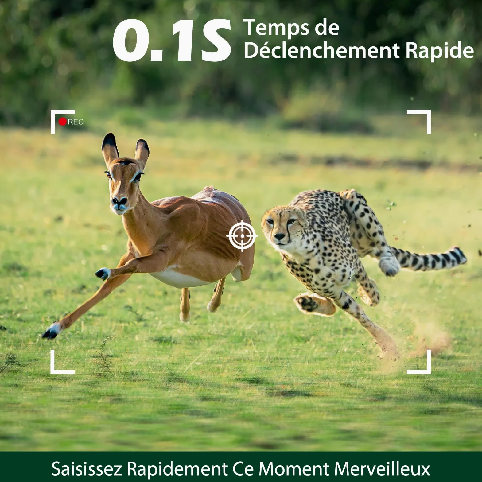 VOOPEAK Camera de Chasse 4K 30FPS 48MP, Caméra de Chasse Nocturne Activé par Le Mouvement, Caméra Chasse Infrarouge Surveillance Exterieur Grand Angle 120° Camera Animaux IP66 Étanche | Déclenchement par mouvement, vision nocturne infrarouge et grand angl