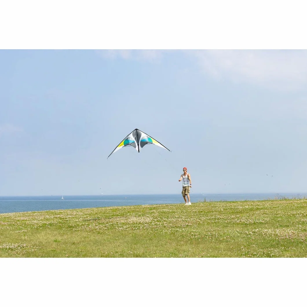 HQ Jive III Cerf-Volant 2 Lignes