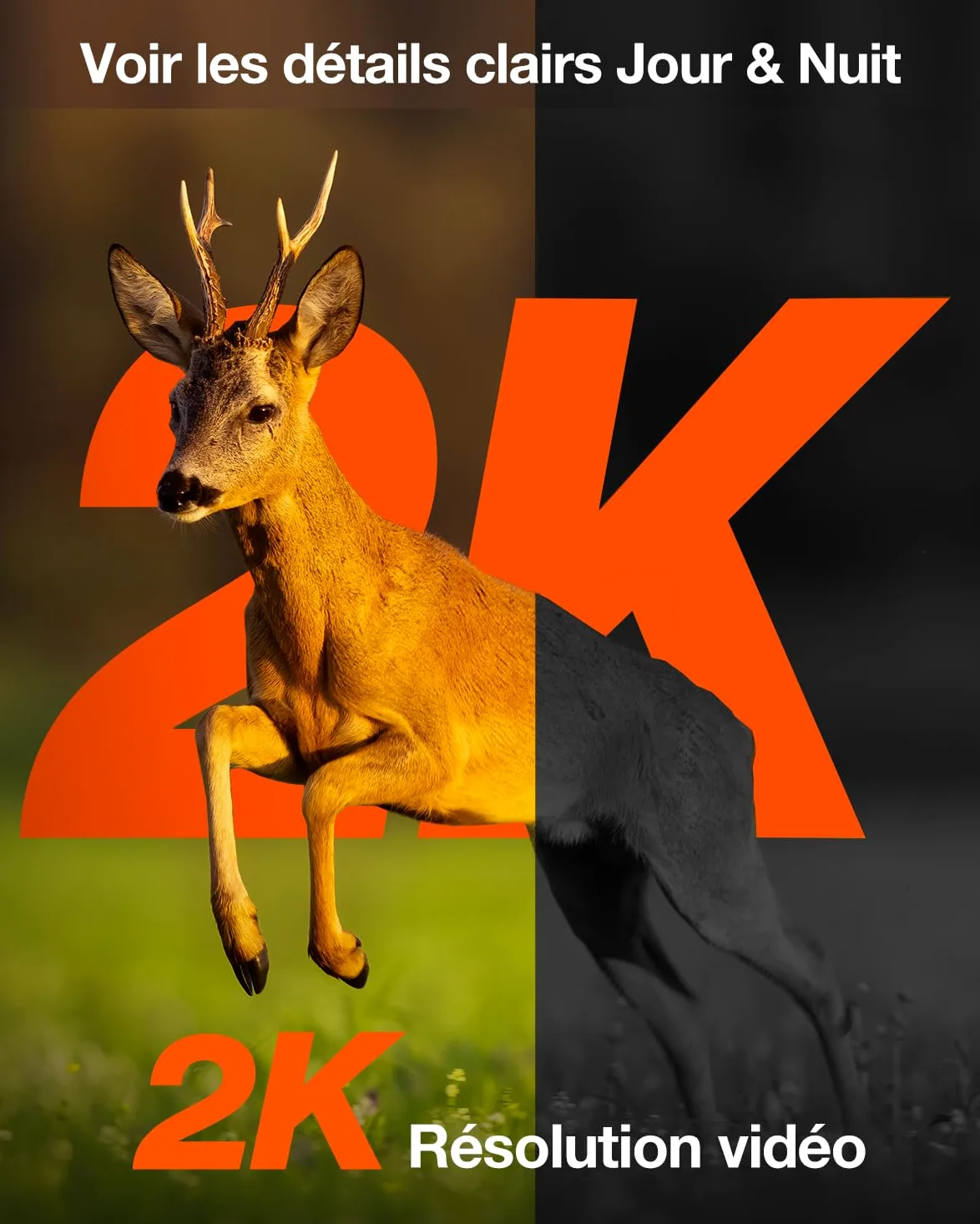 iZEEKER 4G LTE Solaire Caméra de Chasse, 2K PTZ Caméra Chasse avec Carte SD et SIM, 360° Rotation, Diffusion en Direct & Accès à Distance, 940nm sans Lueur IR, Activée par Le Mouvement IP65 Etanche
