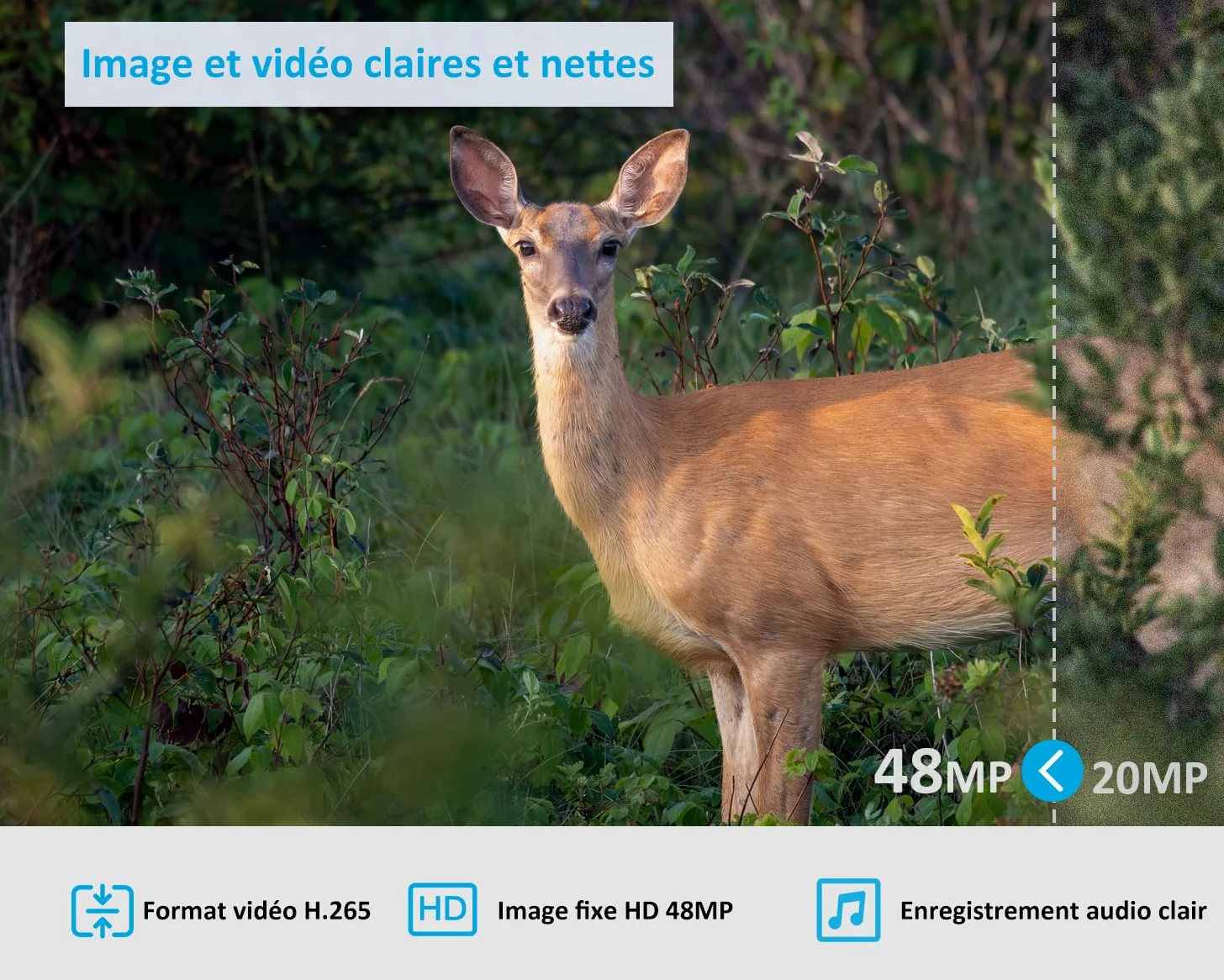 GardePro X20 Caméra de Chasse 4G LTE avec Carte SIM et App | Vidéo H.265 48MP, Vision Nocturne Infrarouge No-Glow de 25m, Détecteur de Mouvement 0,2s et IP66 Étanche