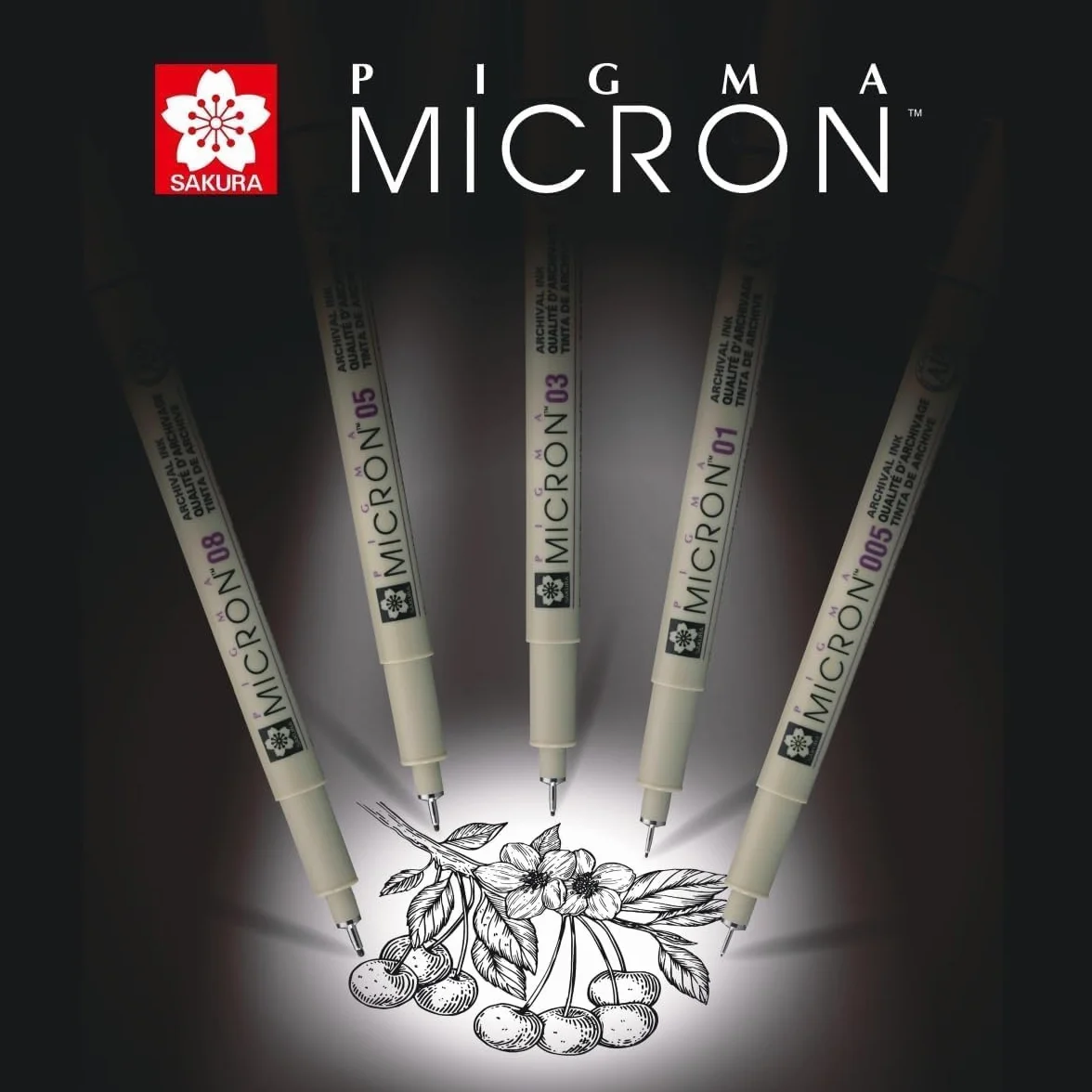 PIGMA MICRON SAKURA PN Noir 2pcs avec carte