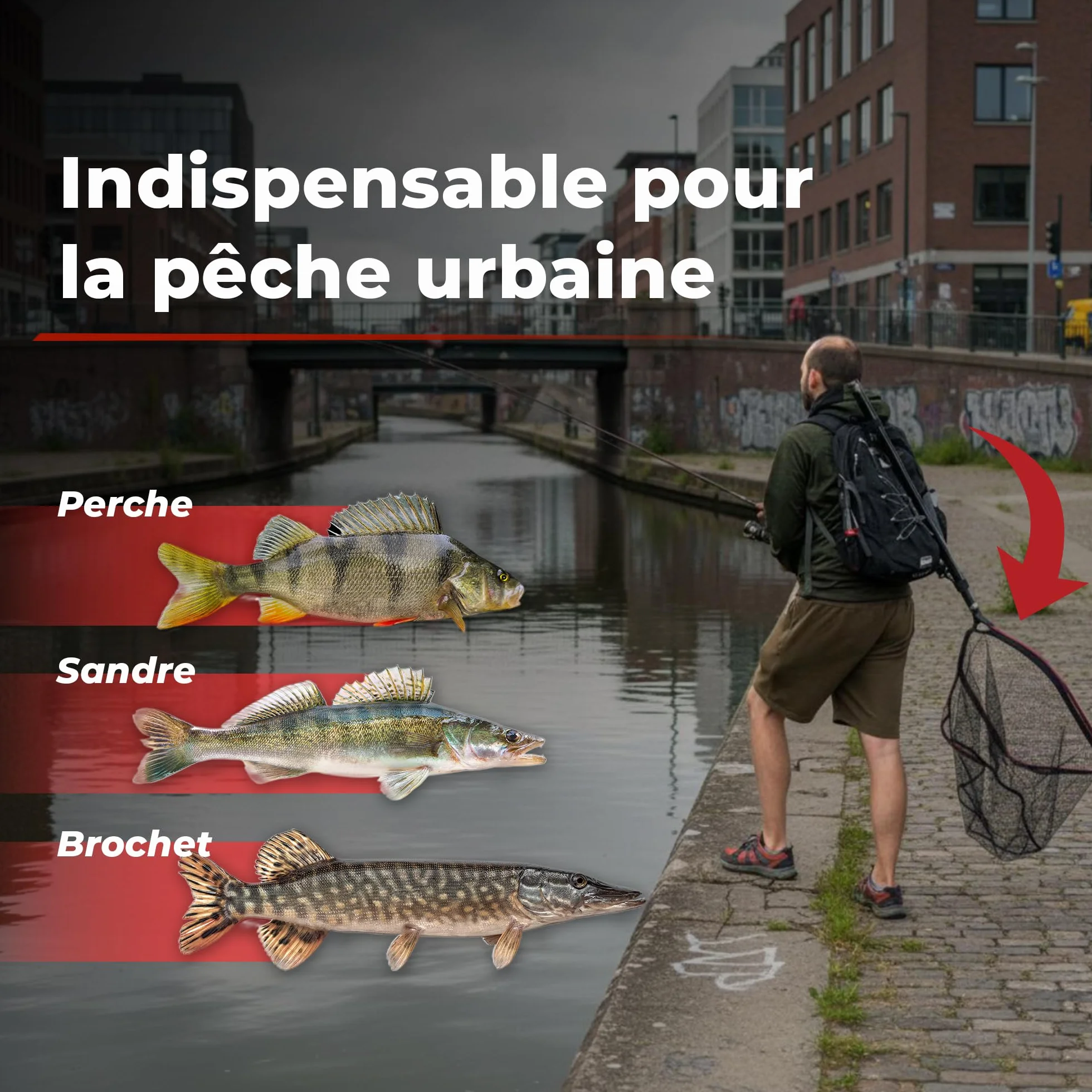 Ultimate Epuisette Streetfishing Landing Net + Manche Télescopique 4.00m - Epuisette