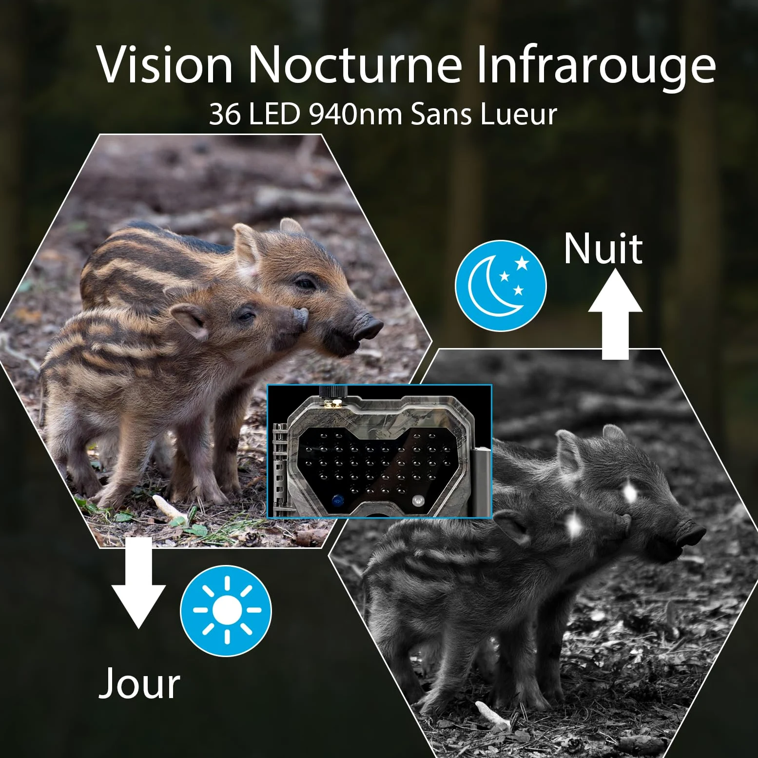 Meidase P300 Caméra de Chasse, WiFi Bluetooth 50m Portée de Connexion, Double Antenne, 64mp 1296p, Vision Nocturne, Activation Mouvement, Ip66 Etanche, Transfert App, Surveillance Extérieure