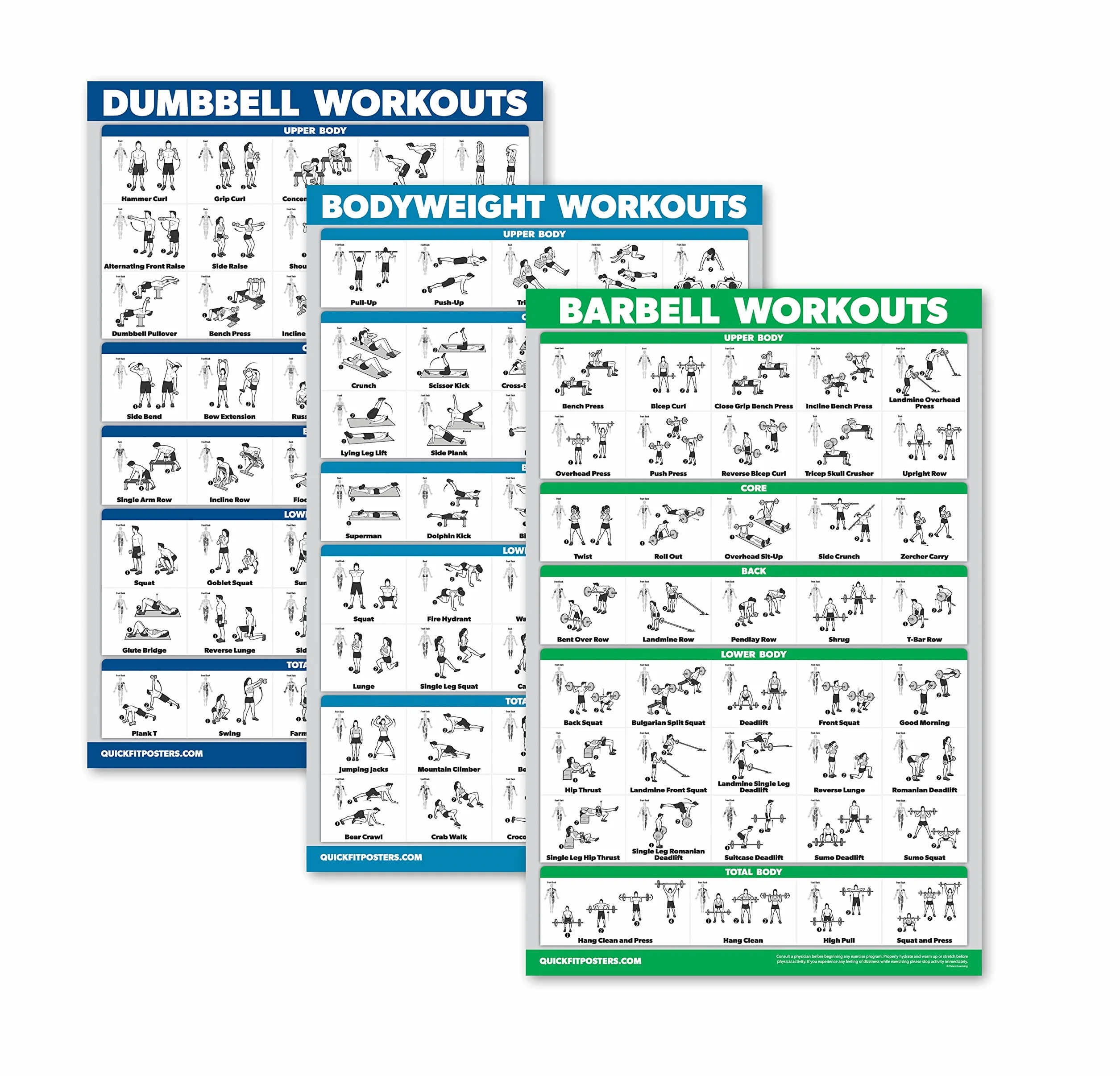 QuickFit Lot de 3 Posters Entraînement Haltères, Exercices Poids Corporel, Tableaux Laminés 45,7 x 70,9 cm