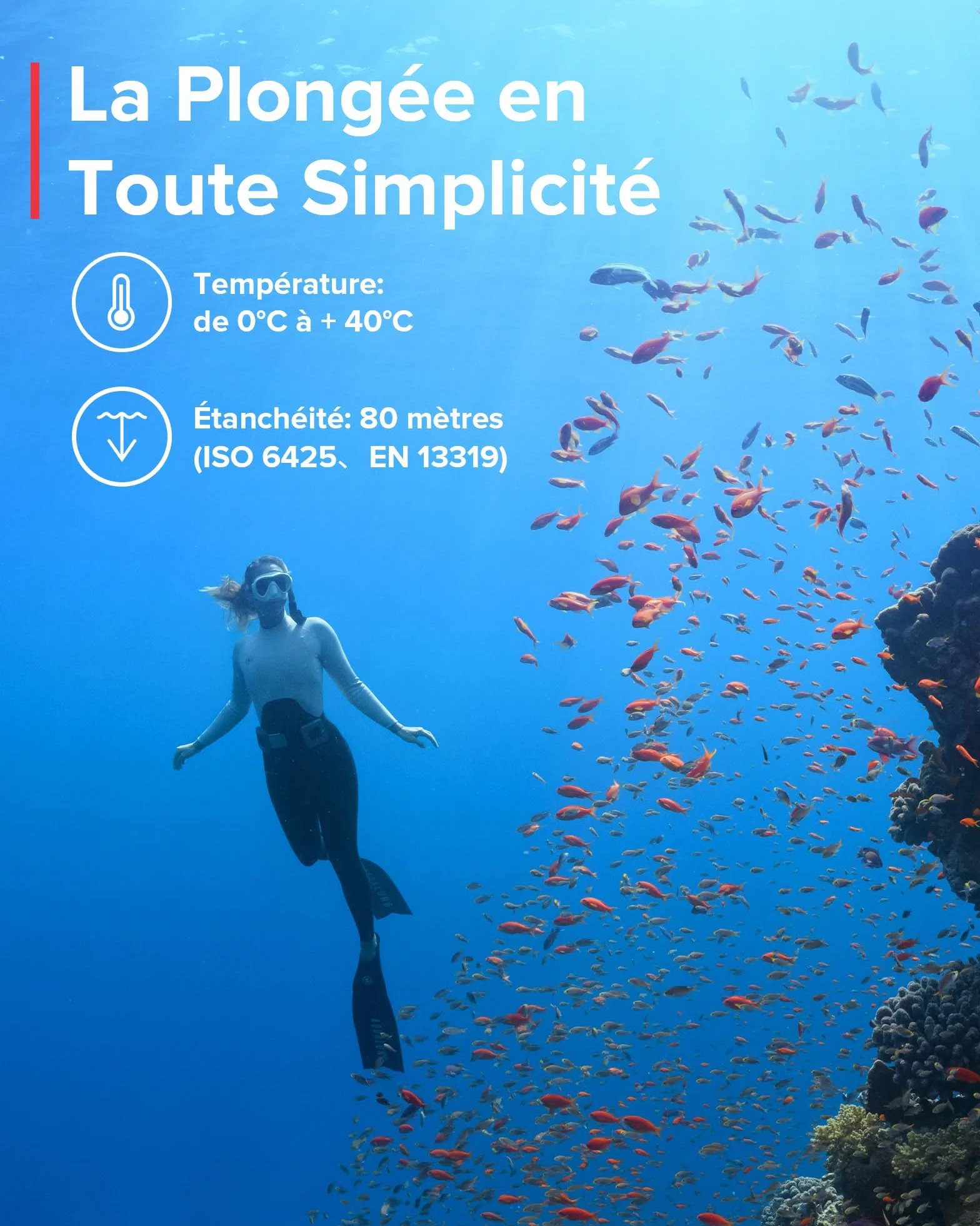 SUUNTO Zoop Novo Montre de Plongée Numérique Étanche 80 m Ordinateur sous-Marine