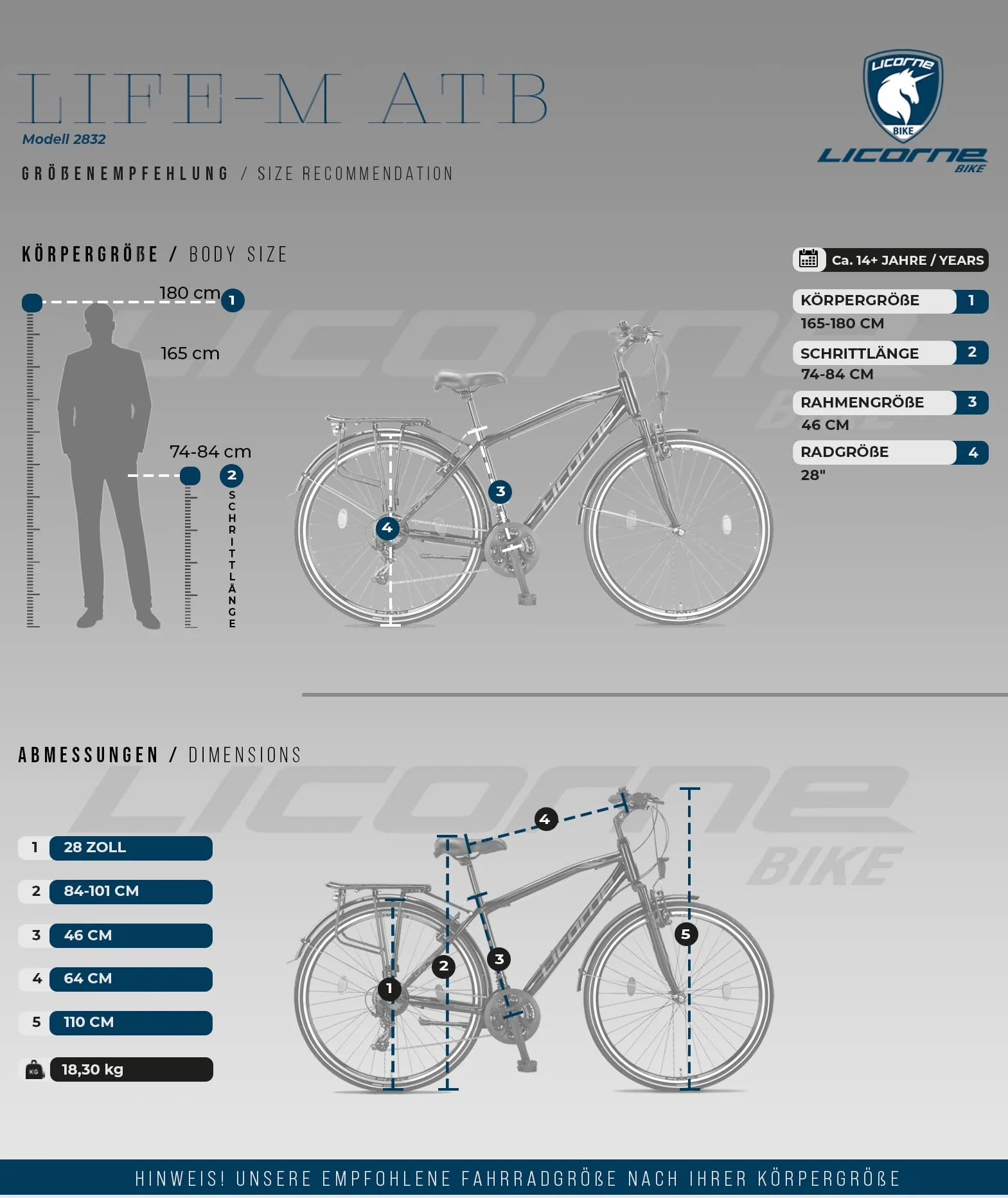 Licorne Bike Life M-V Vélo de randonnée 28'' 21 vitesses Dérailleur Shimano