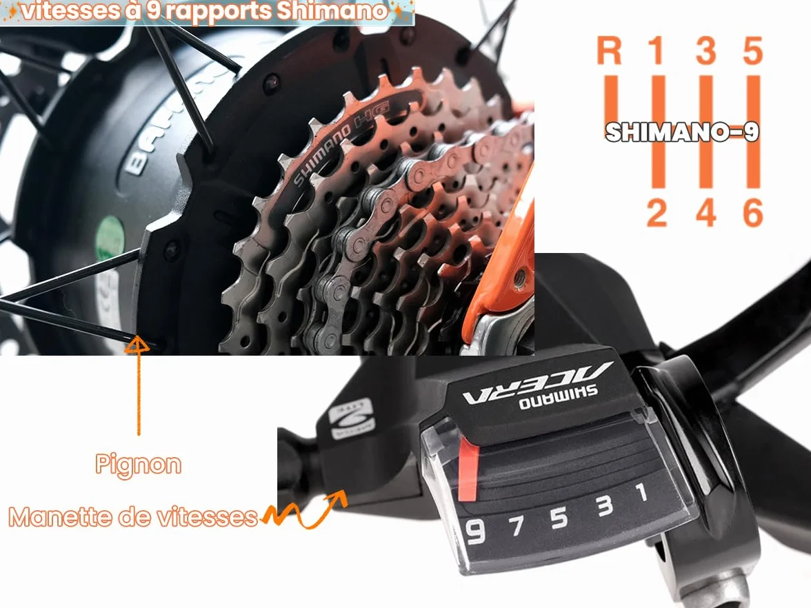 Vélo Électrique Ranger 26 Pouces 250W 52V 20Ah 1040Wh Amortisseur à Air Freins à Disque Hydrauliques