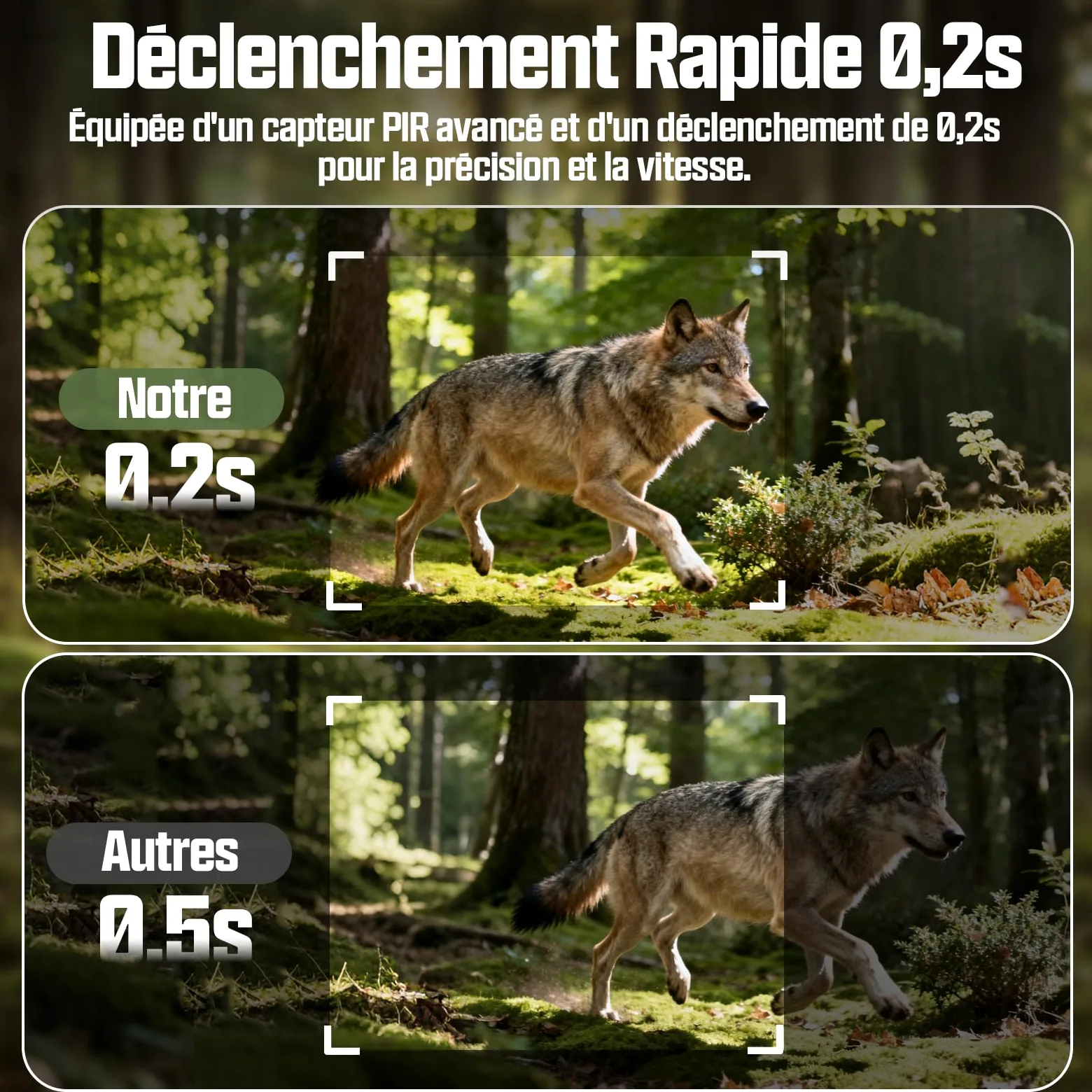 CEYOMUR 4G LTE Cellulaire Camera de Chasse, 48MP Caméra de Chasse Solaire | 5200 mAh Batterie, Piege Photographique avec Carte TF 64 GB et Carte SIM, Alarme Instantanée Via APP, Stockage Cloud