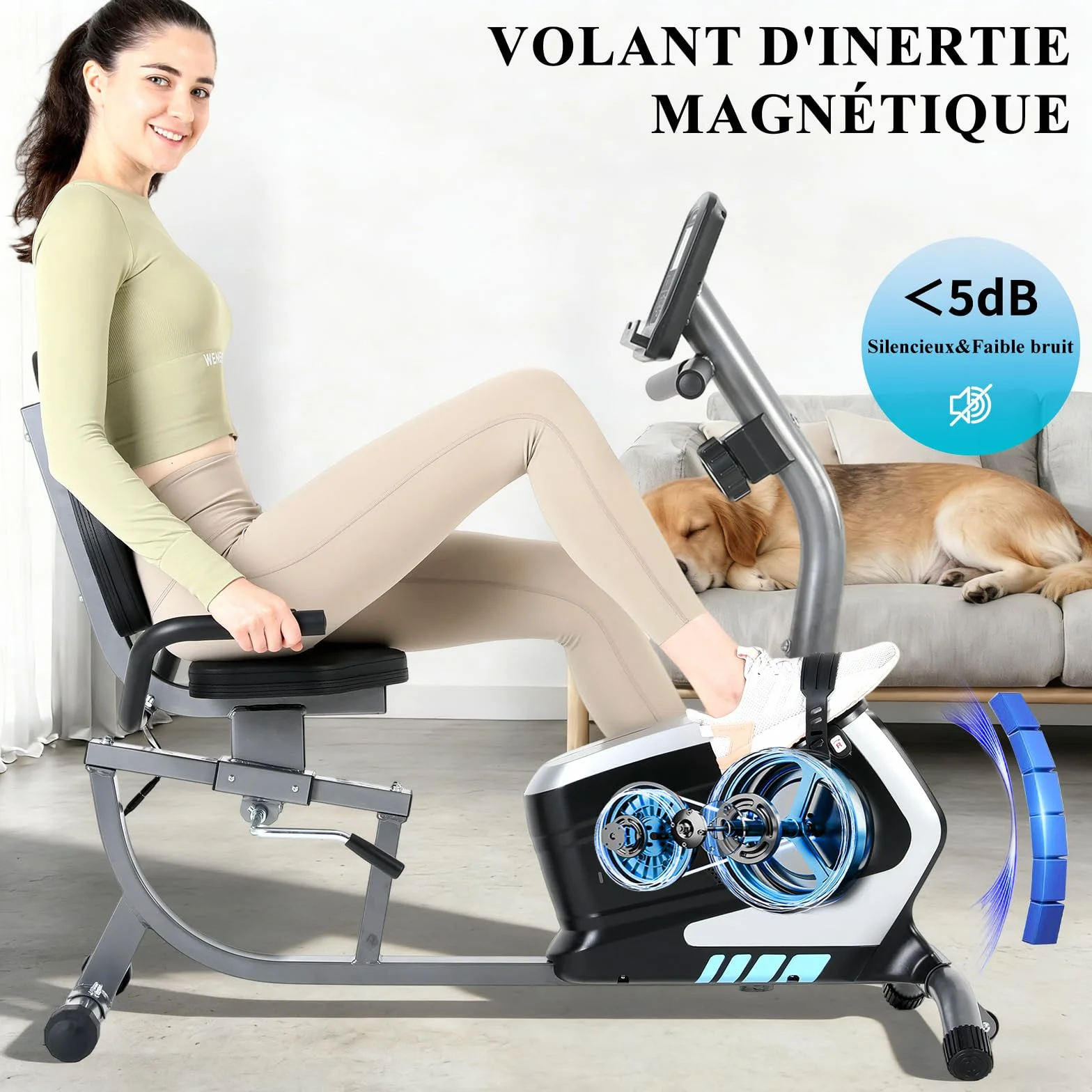 Vélo d'Appartement Semi-Allongé Magnétique 8 Niveaux Résistance, ISE Roue Transport, Écran LCD