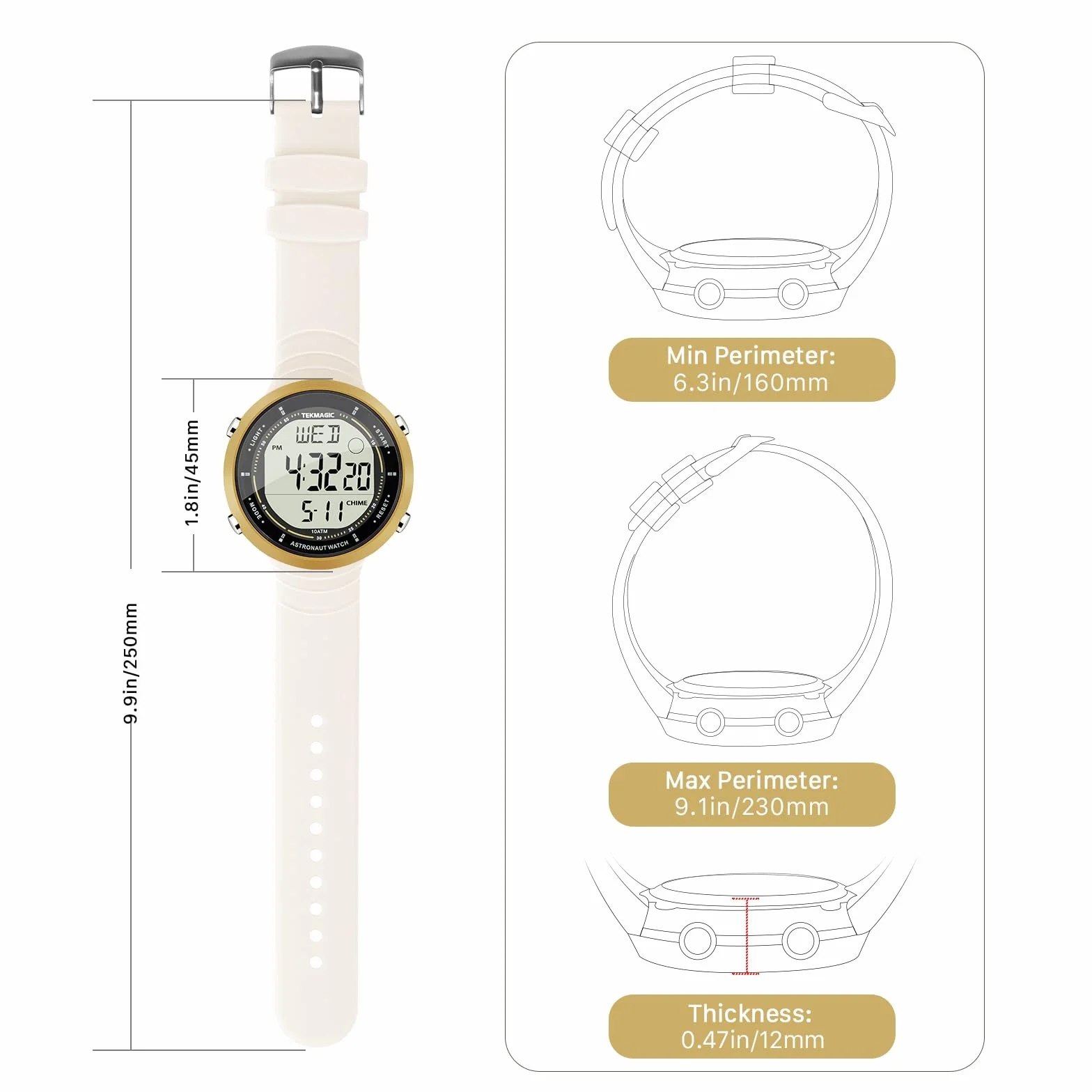 Montre Sport Femme Etanche 10 Atmosphères Plongée Chronomètre Rétroéclairage