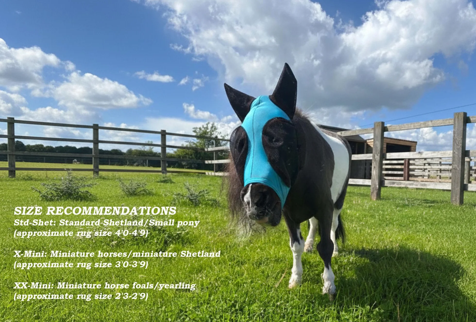 Ruggles Shetland Miniature Section A Masque Anti-mouches à Élastique Avec Oreilles Lycra Extensible Protection des Yeux Cheval Poney X-Mini Rose vif