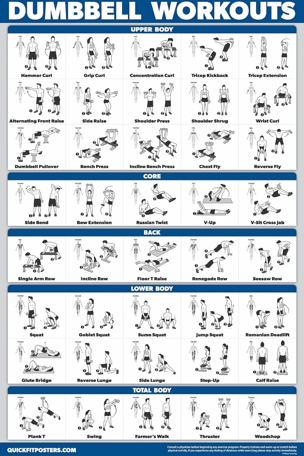 Palace Learning Poster d'exercice d'entraînement avec haltères – Guide de musculation libre laminé 45,7 x 61 cm