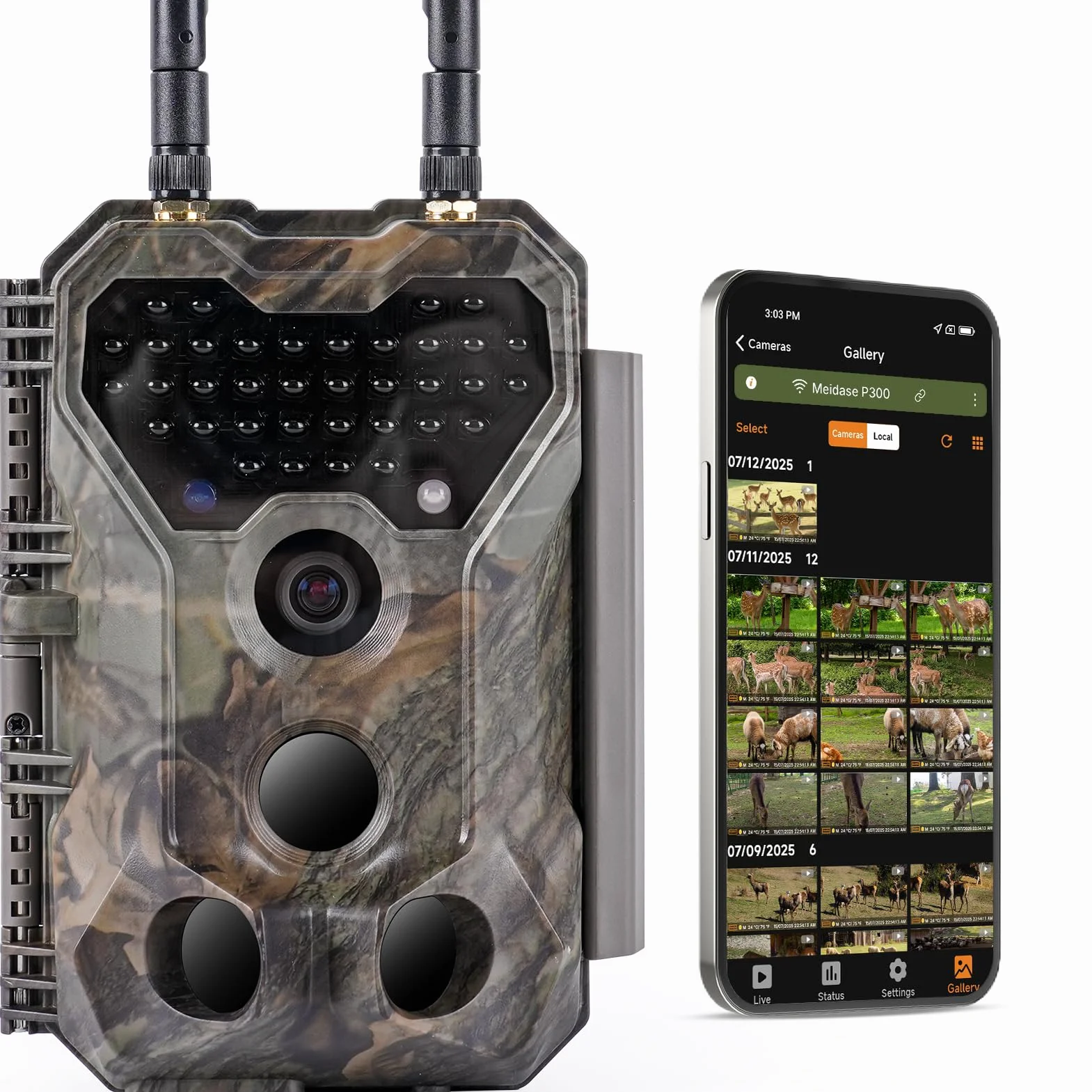 Meidase P300 Caméra de Chasse, WiFi Bluetooth 50m Portée de Connexion, Double Antenne, 64mp 1296p, Vision Nocturne, Activation Mouvement, Ip66 Etanche, Transfert App, Surveillance Extérieure