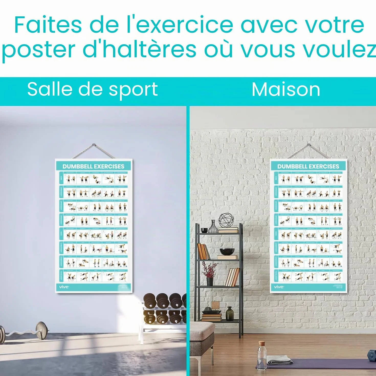 Vive Affiche d'exercices d'haltères plastifiée 76,2 x 43,2 cm pour haut, bas et corps