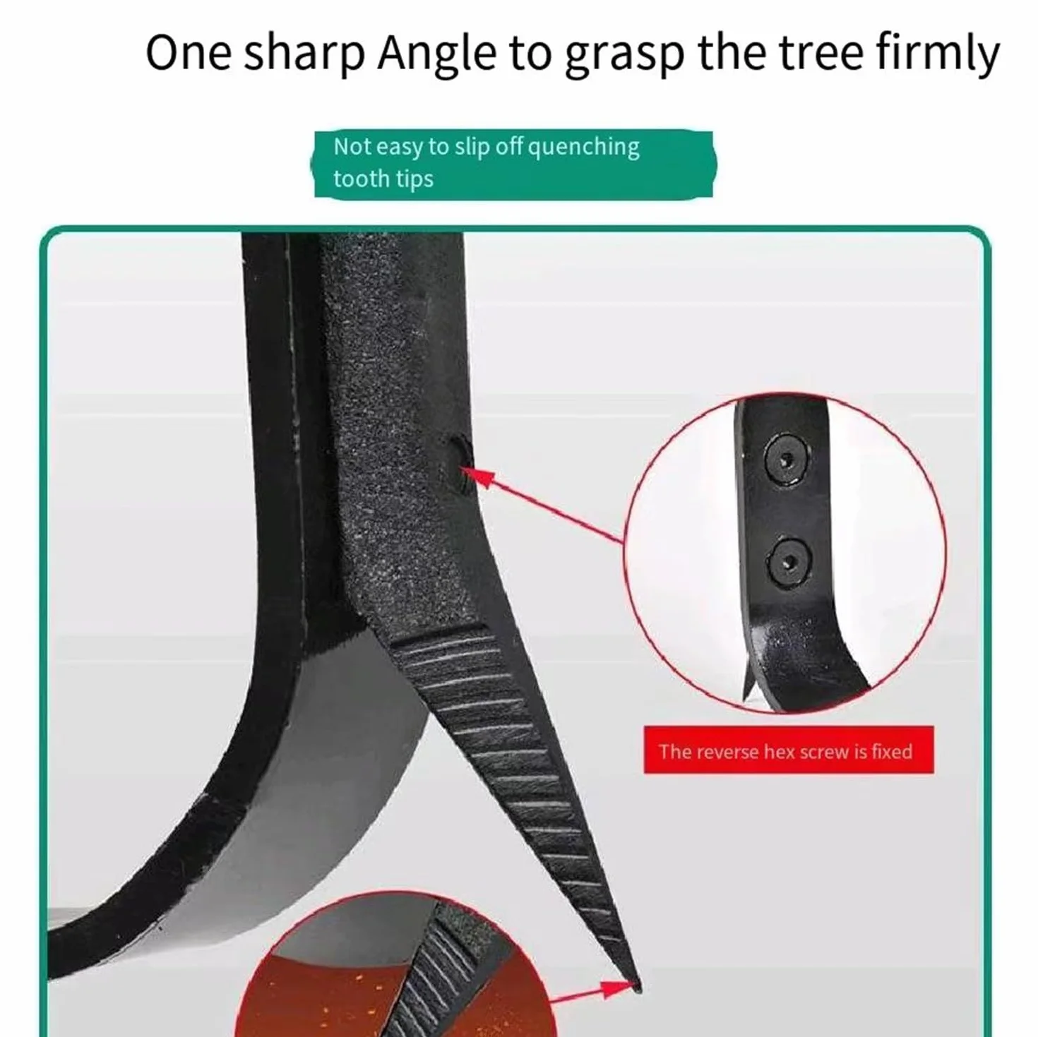 Griffe d'élagage Crampons d'escalade des Arbres pour Observation Chasse Cueillette