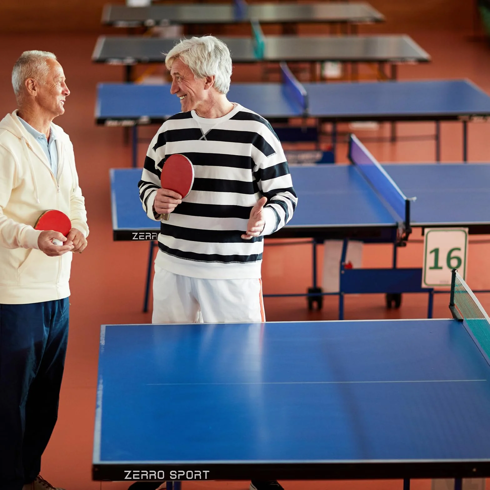 ZERRO Table de Ping Pong Pliable Intérieur, MDF 15 mm, 274x152,5x76 cm, Taille Standard Internationale avec Filet, Tables de Tennis de Table, Noir/Bleu