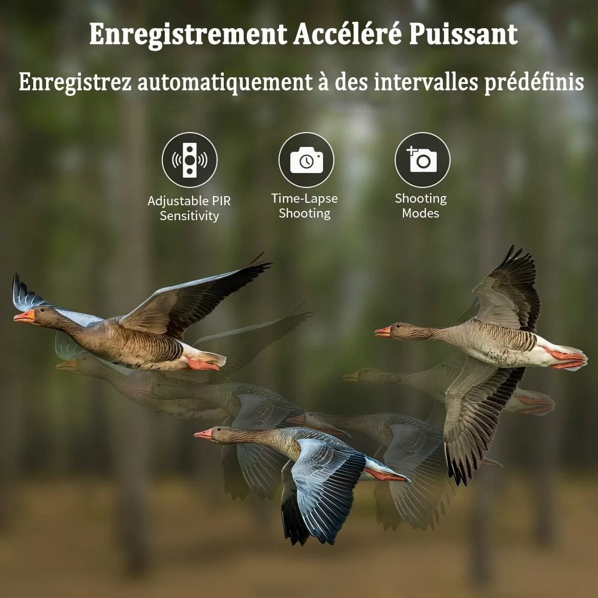 Camera de Chasse 4G APP, 4K 120MP Caméra Chasse avec Carte SIM, Envoi de Photos, Vidéo en Direct, Piege Photographique Nocturne Infrarouge