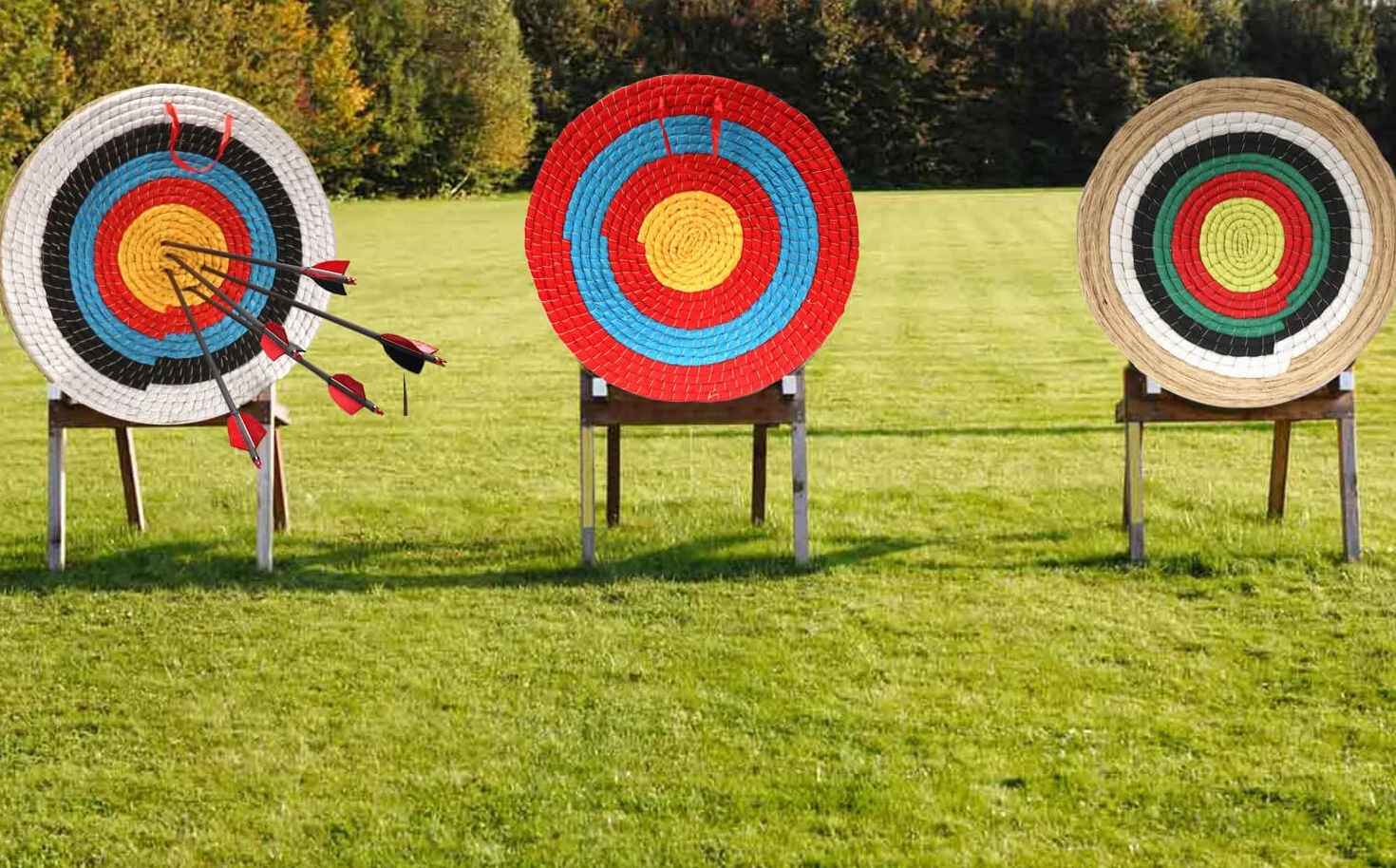 Archer Cible d'arc en Herbe 20 Pouces pour Arc récidivant Composite Long