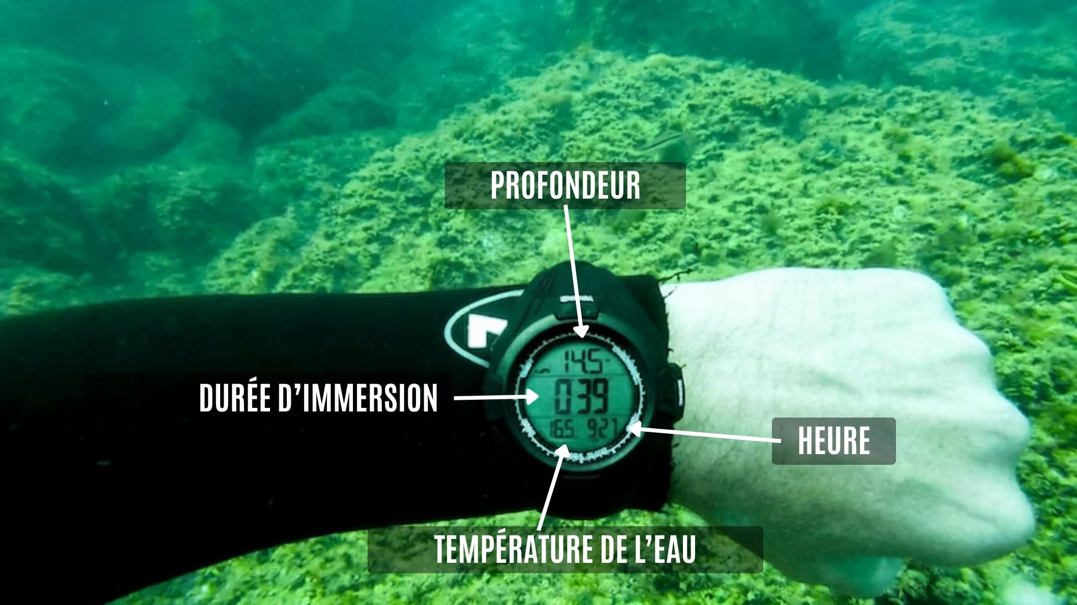 Montre de Plongée DiVONEA - Apnée et Chasse sous-marine