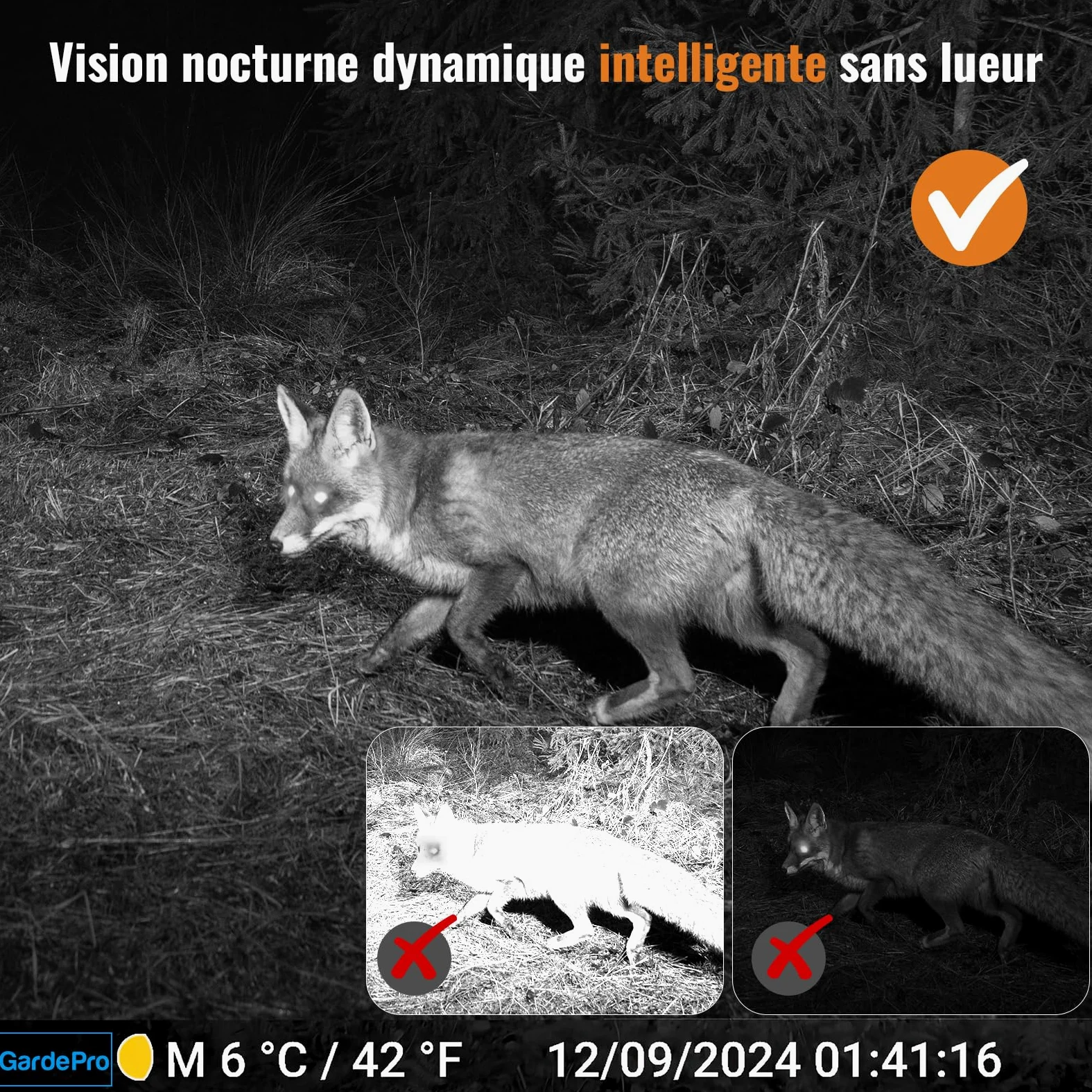 GardePro 4K Camera de Chasse avec Carte SD 32 Go, 64MP 4K Infrarouge Vision Nocturne Animaux Piege Photographique, No Glow 940nm IR LEDs Caméra de Chasse Suiveuse Exterieur Étanche, IP66