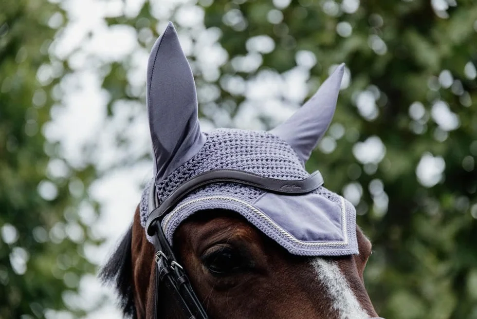 Kentucky Horsewear - Bonnet Wellington Velvet - Violet - pour Cheval