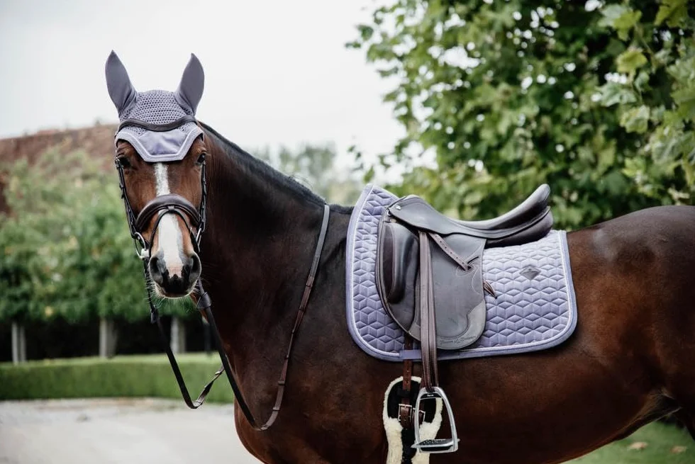 Kentucky Horsewear - Bonnet Wellington Velvet - Violet - pour Cheval