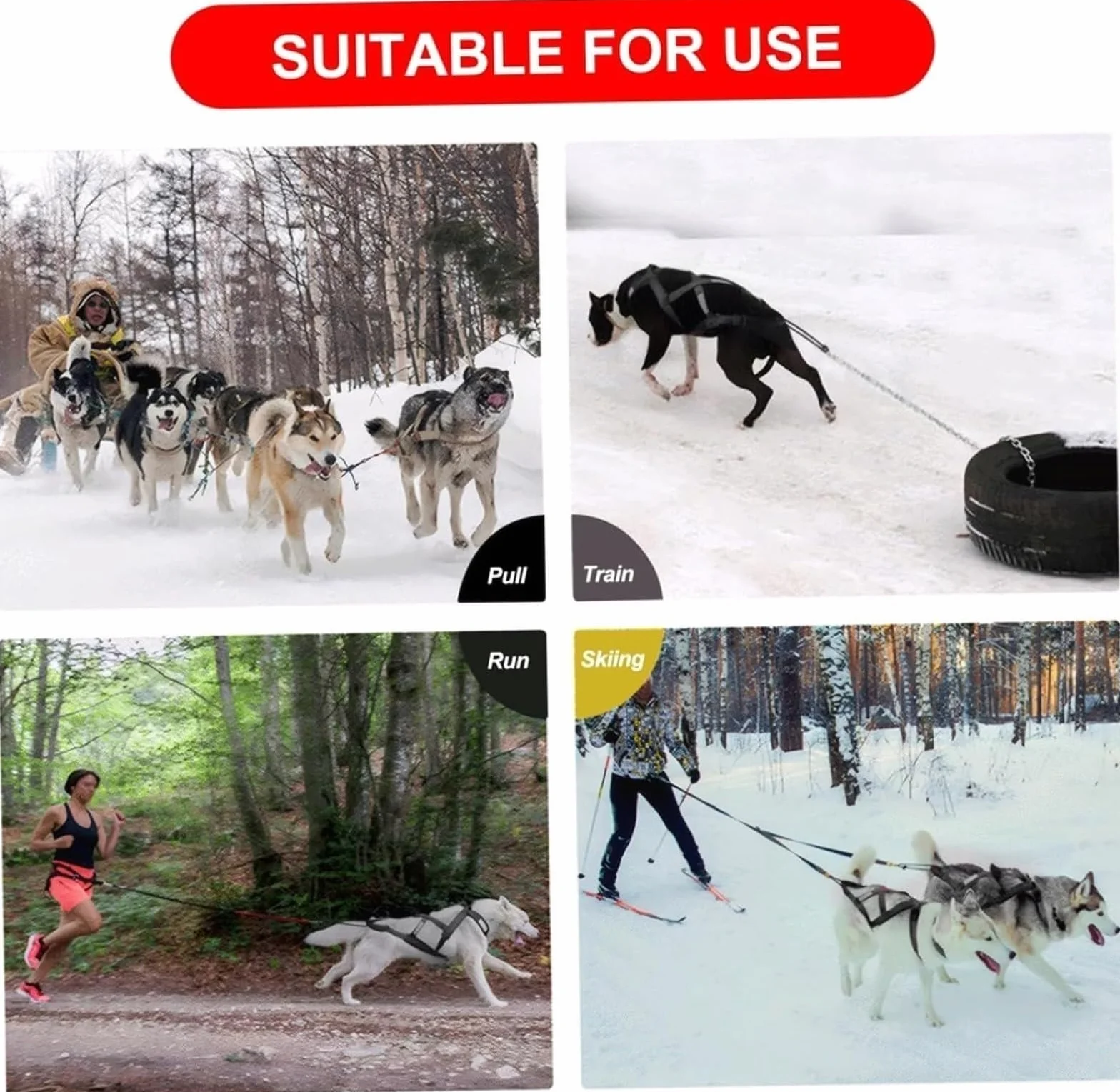 Harnais de traction pour chien Husky, luge et cyclisme animaux de compagnie