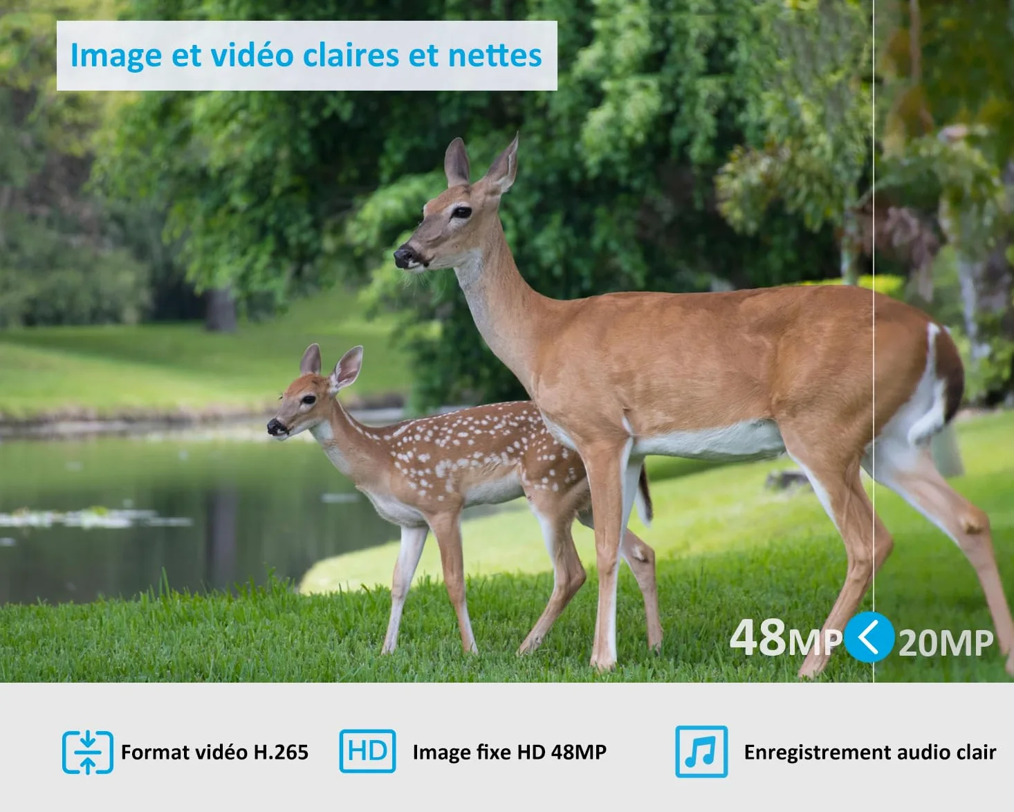 GardePro X50 Caméra de Chasse 4G LTE avec Carte SIM et APP, Vidéo H.265 48MP, Vision Nocturne Infrarouge No-Glow de 30 m, Détecteur de Mouvement 0,1 s et IP66 Étanche