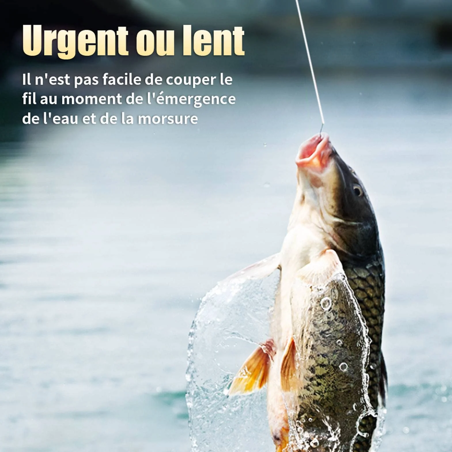Ruban d'appât de pêche soluble dans l'eau PVA 20m pour pêche à la carpe