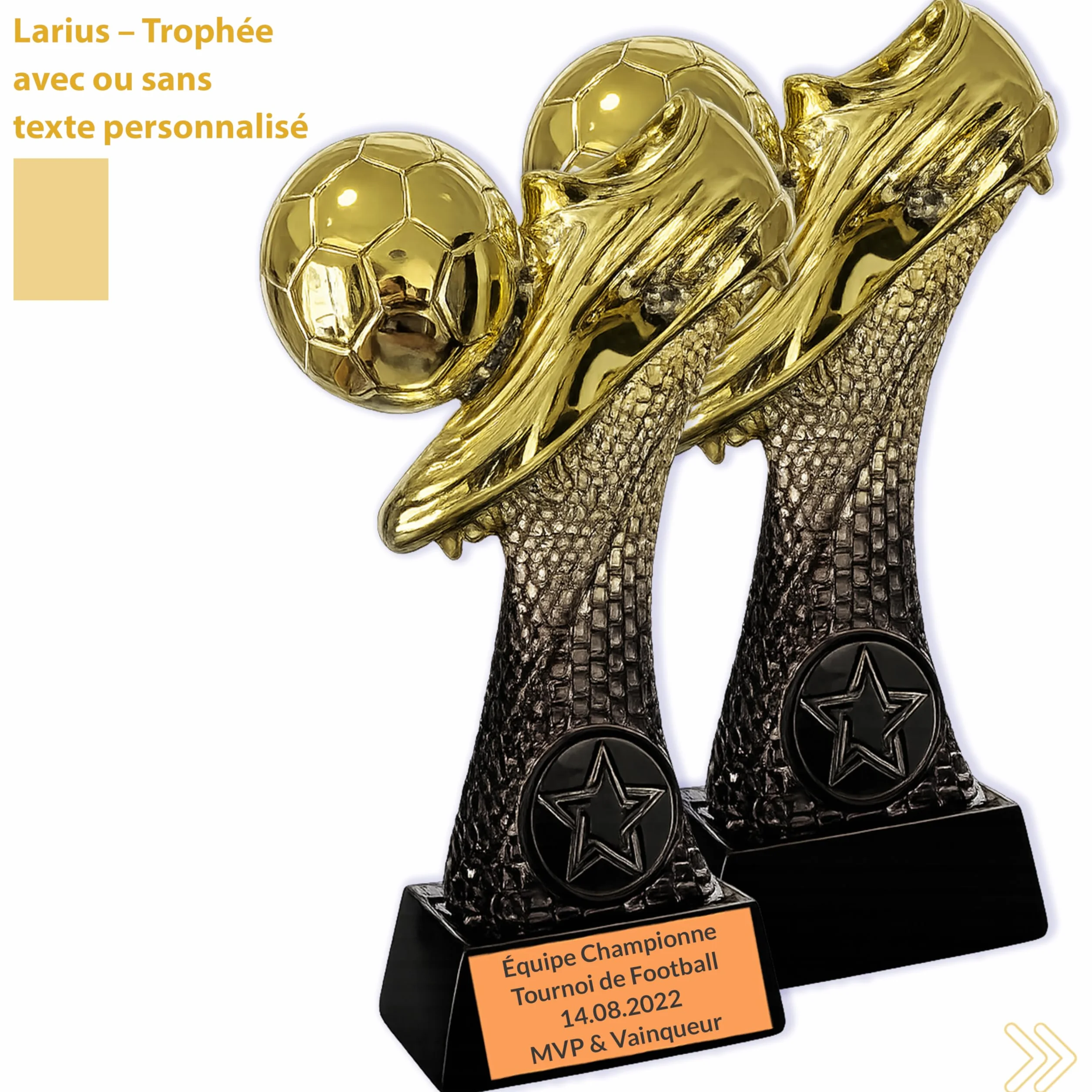 Larius Trophée de football 16 à 21,5 cm (300 à 500 g) - Coupe de vainqueur avec/sans gravure - Coupe de football pour enfants et adultes - Tournoi MVP, récompense - F6