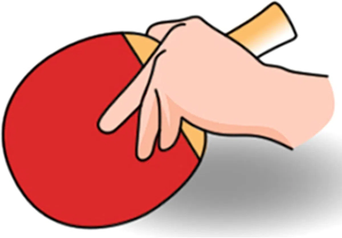 Ensemble de Tennis de Table, Raquette de ping-Pong en Carbone, Raquettes de Tennis de Table avancées approuvées avec Emballage en boîte Cadeau, entraînement Professionnel Polyvalent
