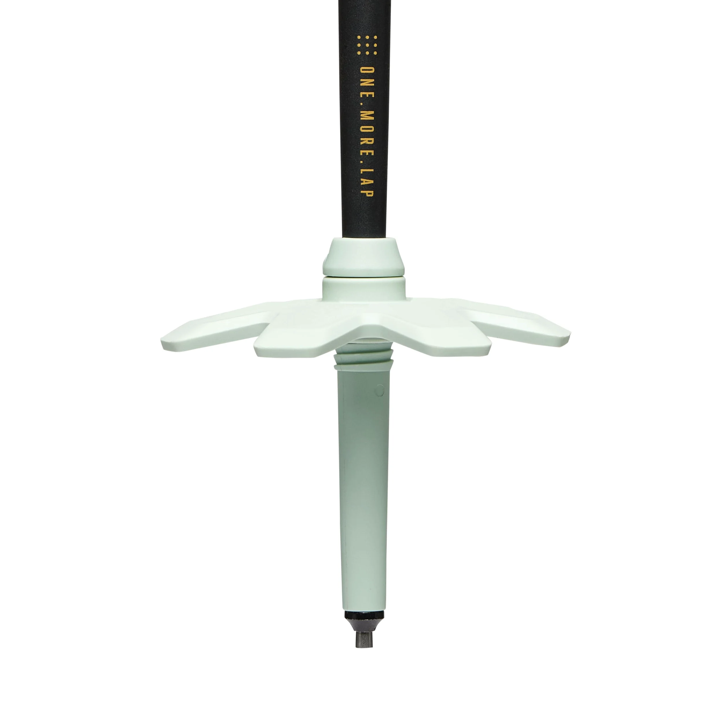 Black Diamond Traverse Pro Bâtons de Ski Adulte Unisexe, Mousse Verte, 95-145 cm