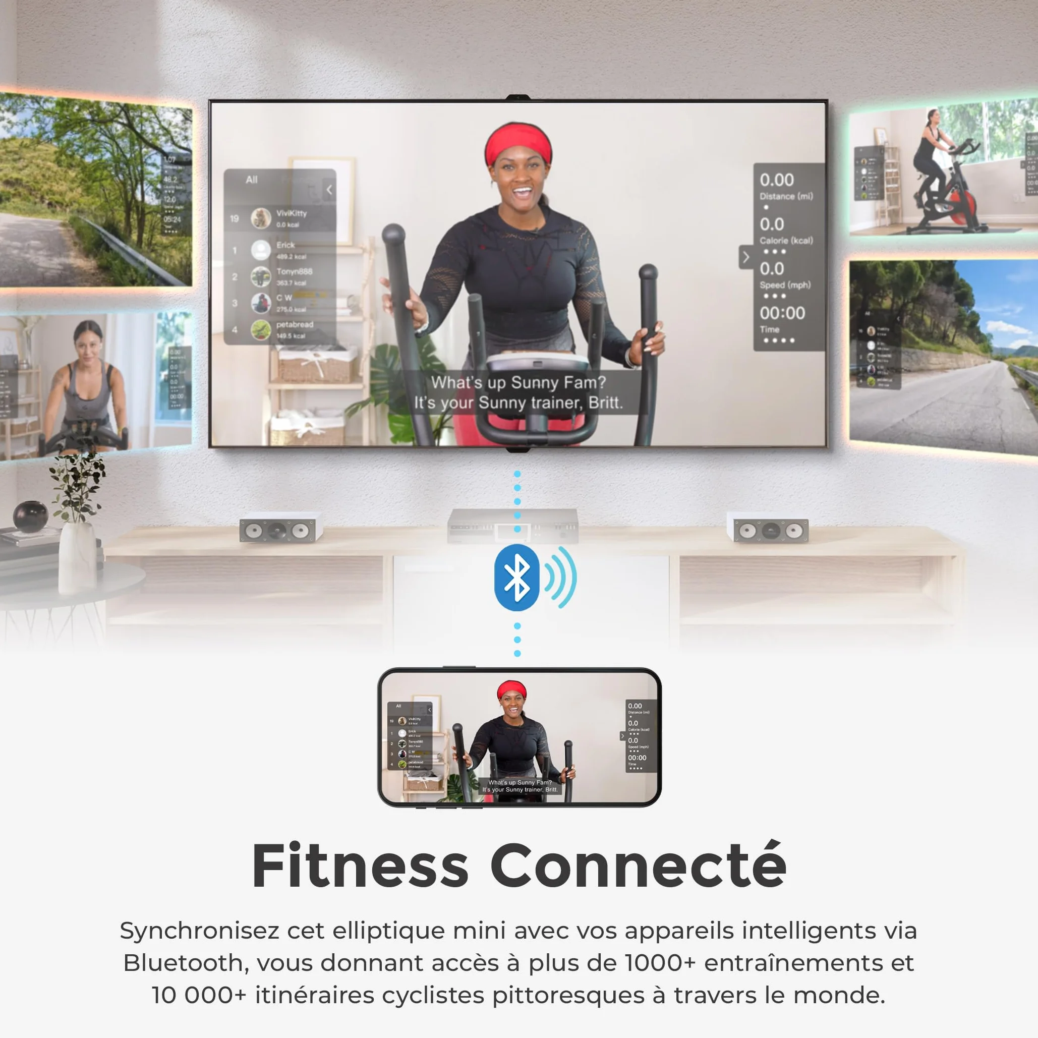 Sunny Health & Fitness Vélo Elliptique sous Bureau, Portable Assis ou Debout pour Personnes Âgées