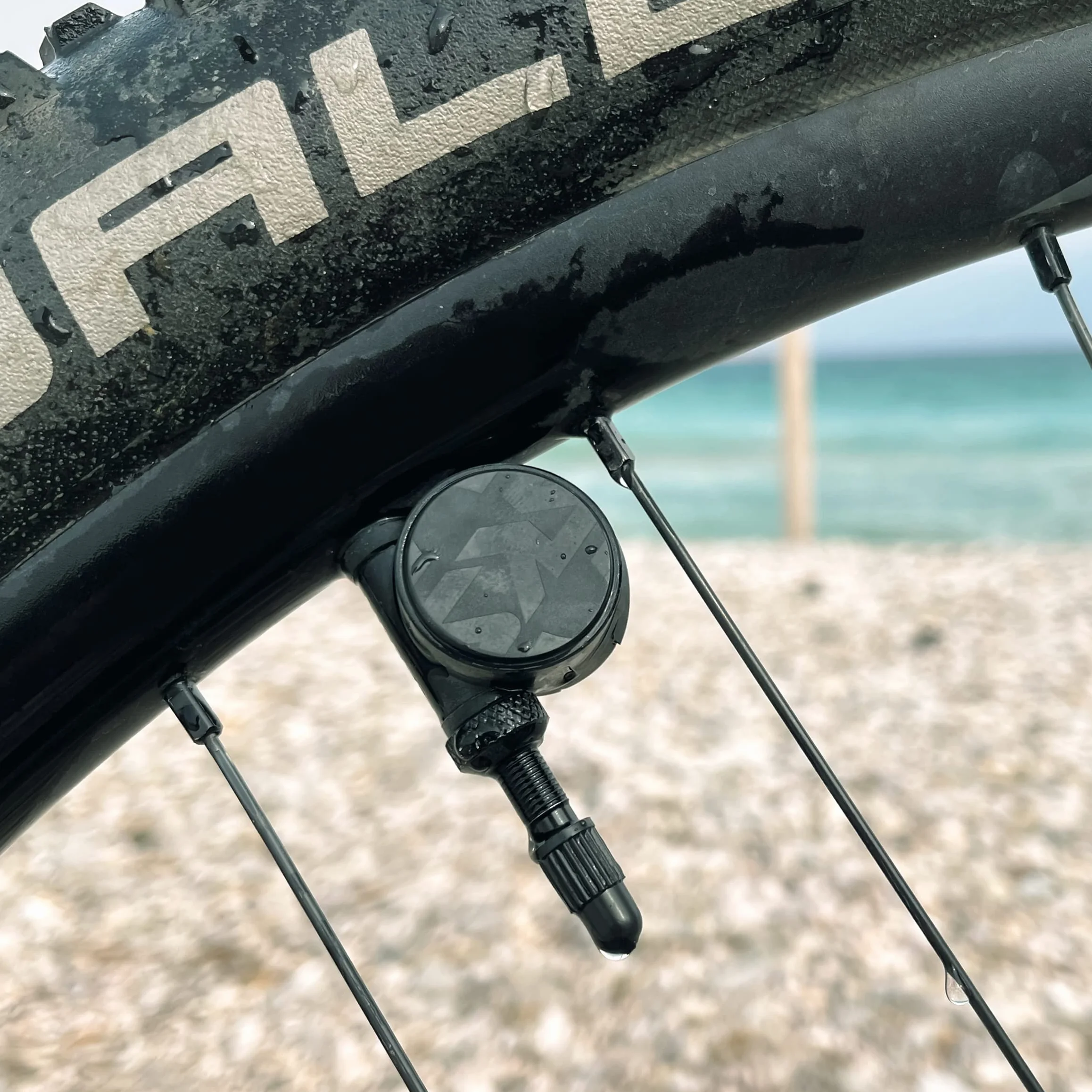 SKS GERMANY Airspy AV & SV Lot de 2 systèmes de contrôle de pression des pneus avec mesure permanente (accessoires de vélo pour fixation sur valves AV et SV, étanche à la poussière et à l'eau, utilisable comme manomètre numérique)