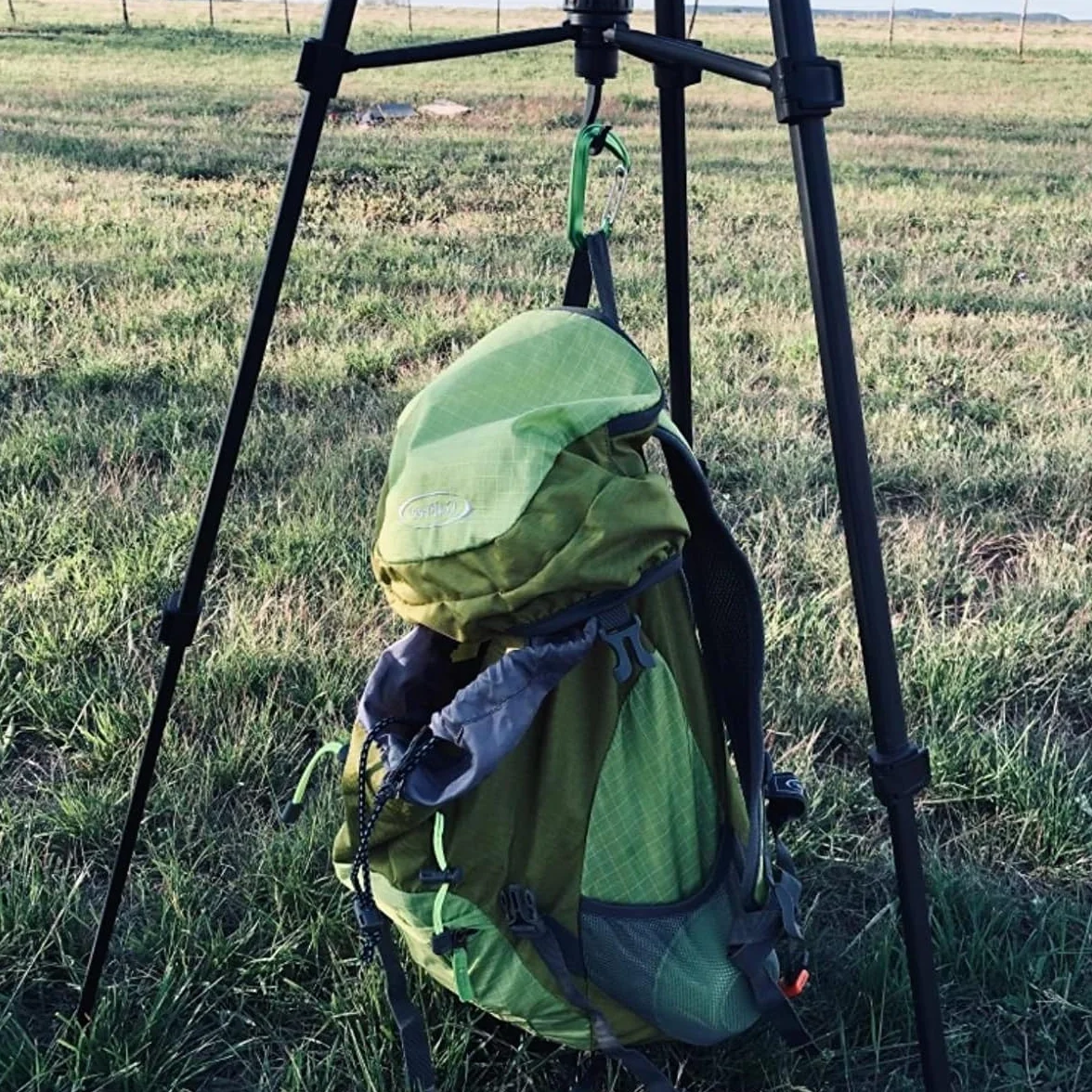 Azarxis Mousquetons 12kN Ressort 4 Pièces Petit Mousqueton en Forme D Léger Porte Clé Camping Randonnée