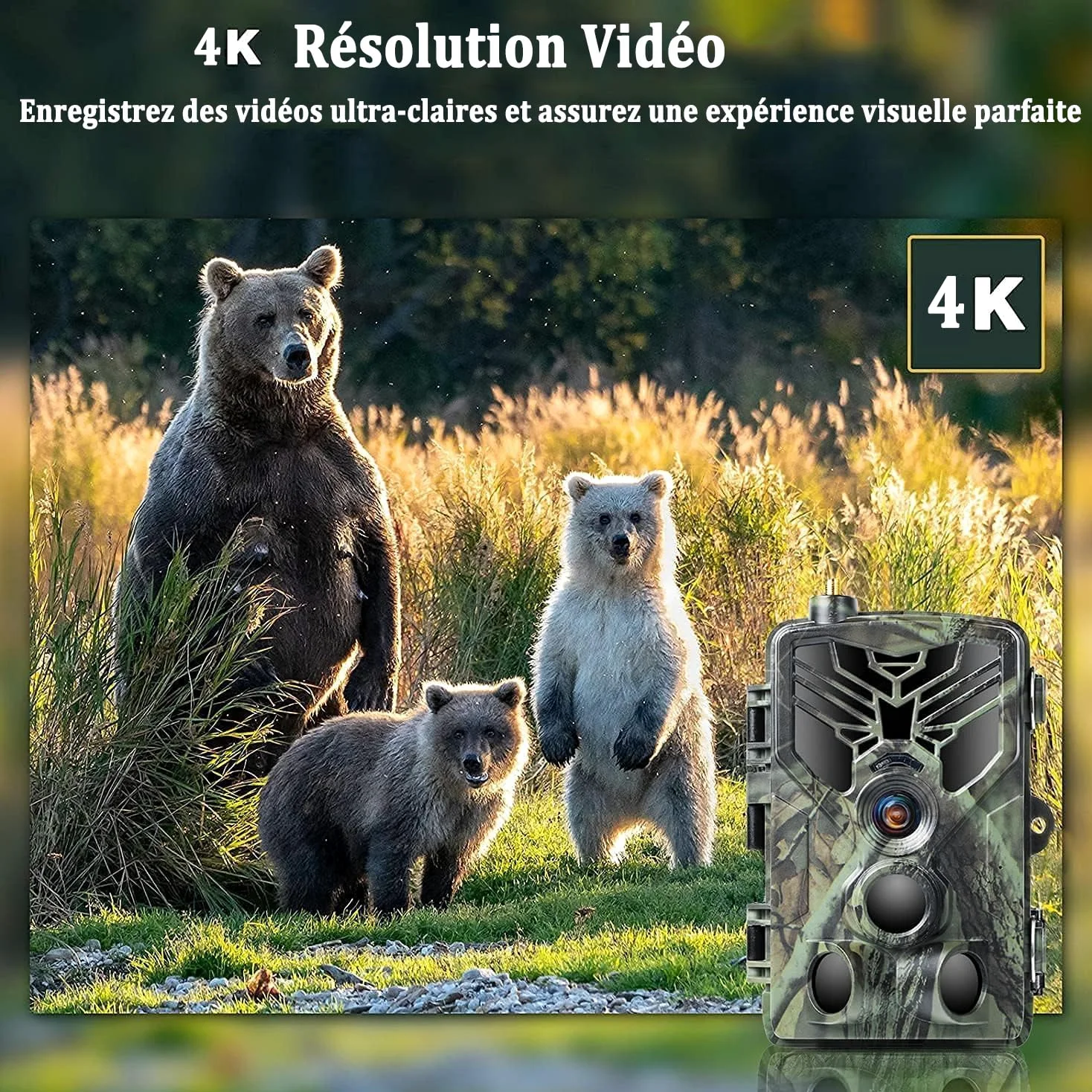 Camera de Chasse 4G APP, 4K 120MP Caméra Chasse avec Carte SIM, Envoi de Photos, Vidéo en Direct, Piege Photographique Nocturne Infrarouge