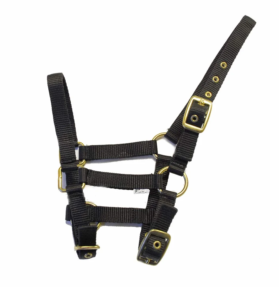 Rhinegold Licol en Nylon pour Poulain Noir