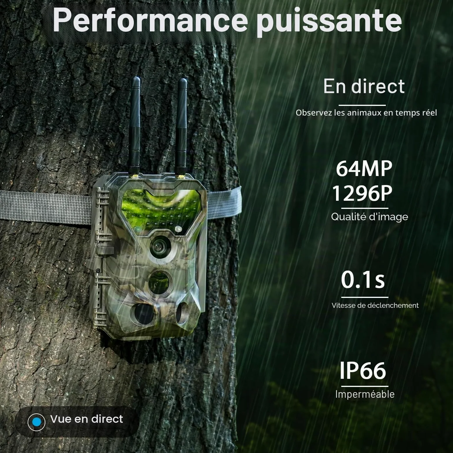 Meidase P300 Caméra de Chasse, WiFi Bluetooth 50m Portée de Connexion, Double Antenne, 64mp 1296p, Vision Nocturne, Activation Mouvement, Ip66 Etanche, Transfert App, Surveillance Extérieure
