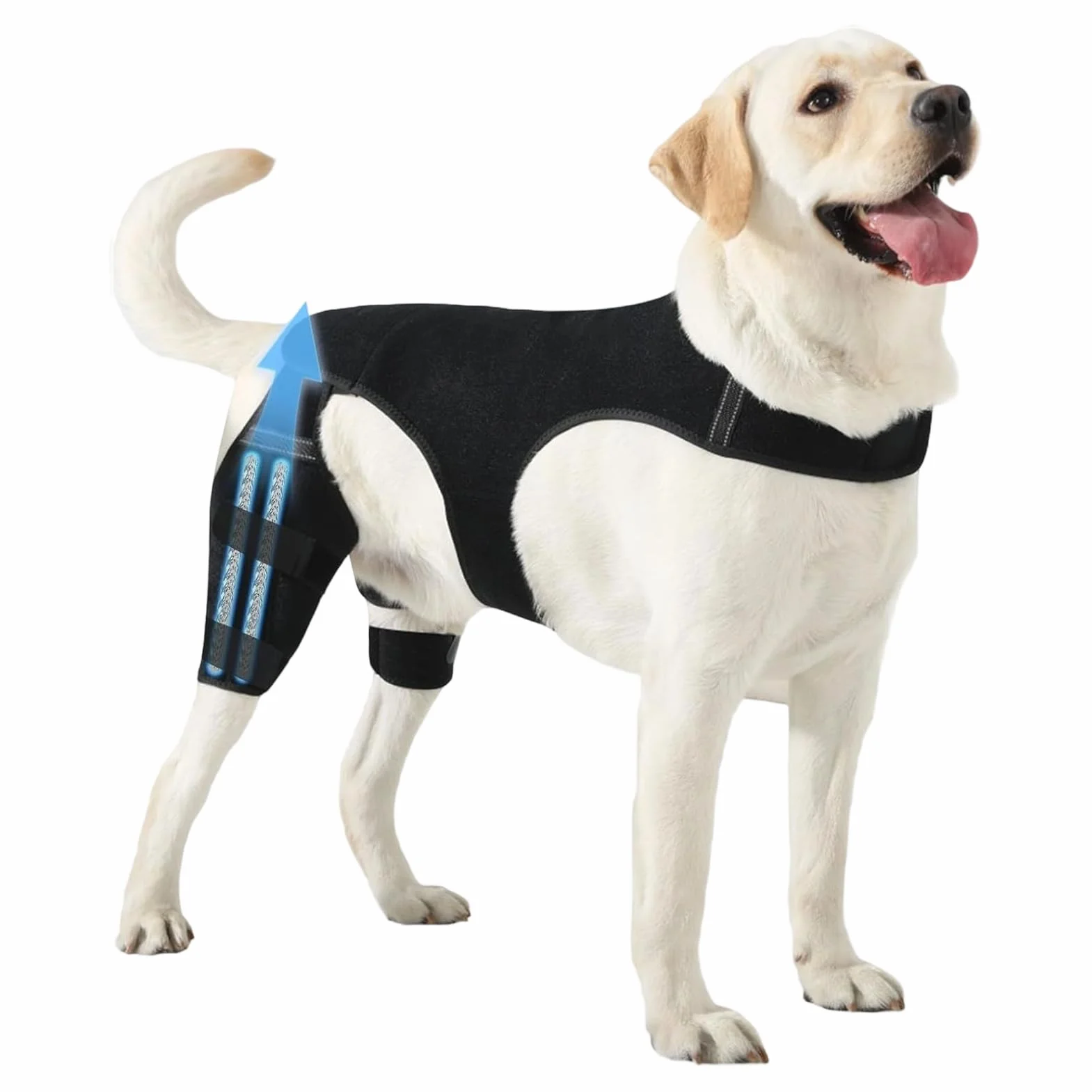 Attelle De Patte Arrière Pour Chien Ajustable Avec Stabilisateurs En Métal