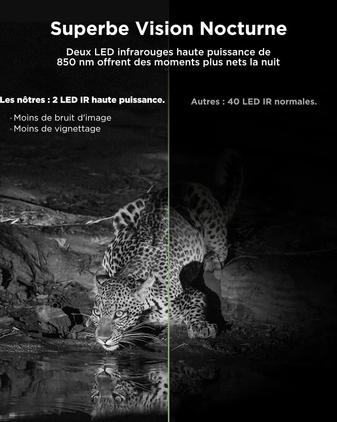 CEYOMUR Caméra 4K 30fps 40MP WiFi Bluetooth avec Vision Nocturne et détection de Mouvement 120° étanche IP66 pour la Surveillance de la Faune