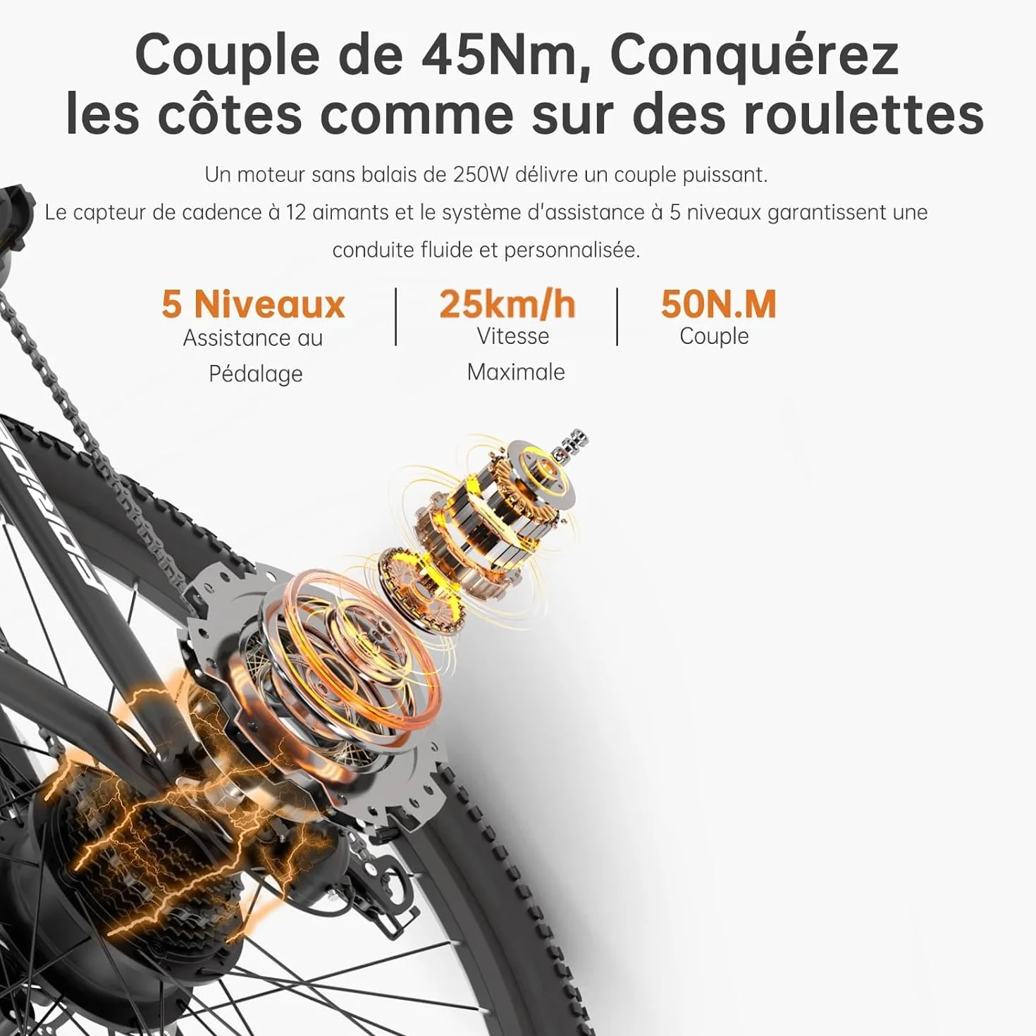 Xtremer 2/Xtremer 3 Vélo Électrique 27.5" 29" VTT Moteur 250W Autonomie 120KM Frein à Disque Hydraulique