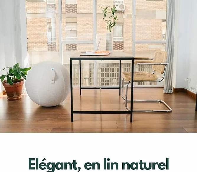 Ballon Yoga Housse