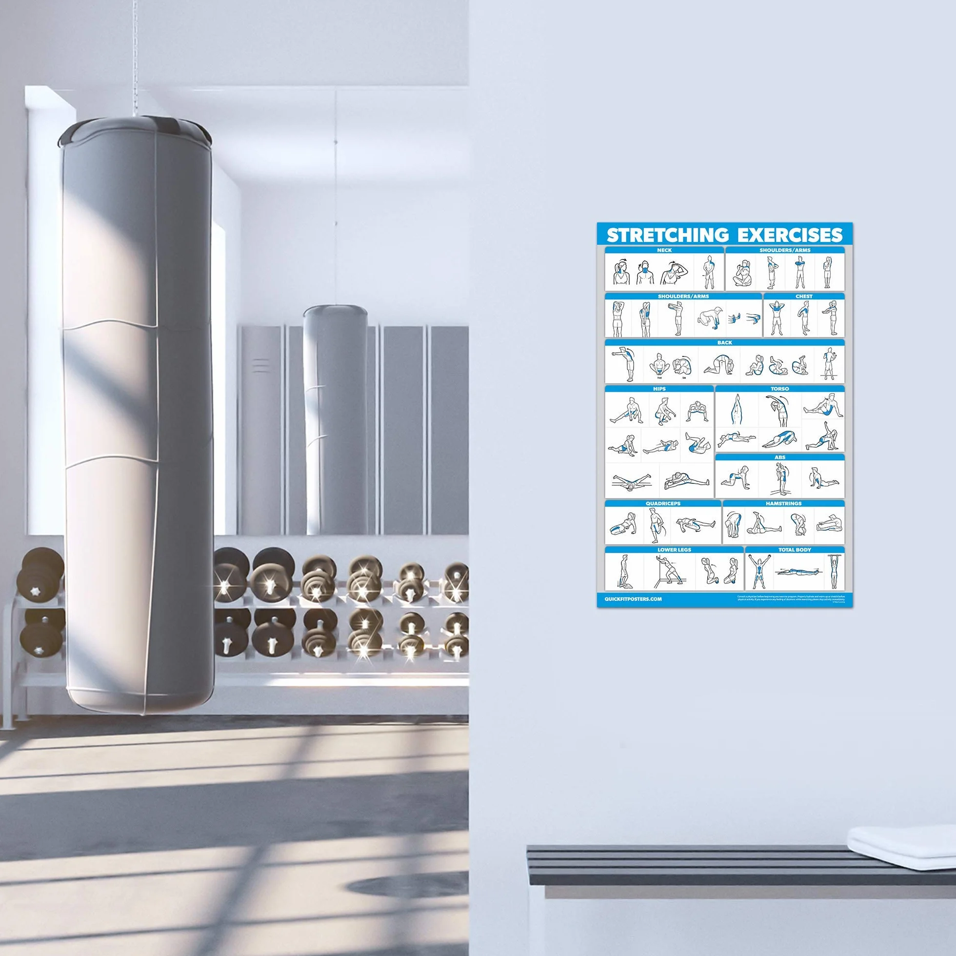 Poster d'exercices d'étirement QUICKFIT – Routine extensible laminé 45,7 x 68,6 cm