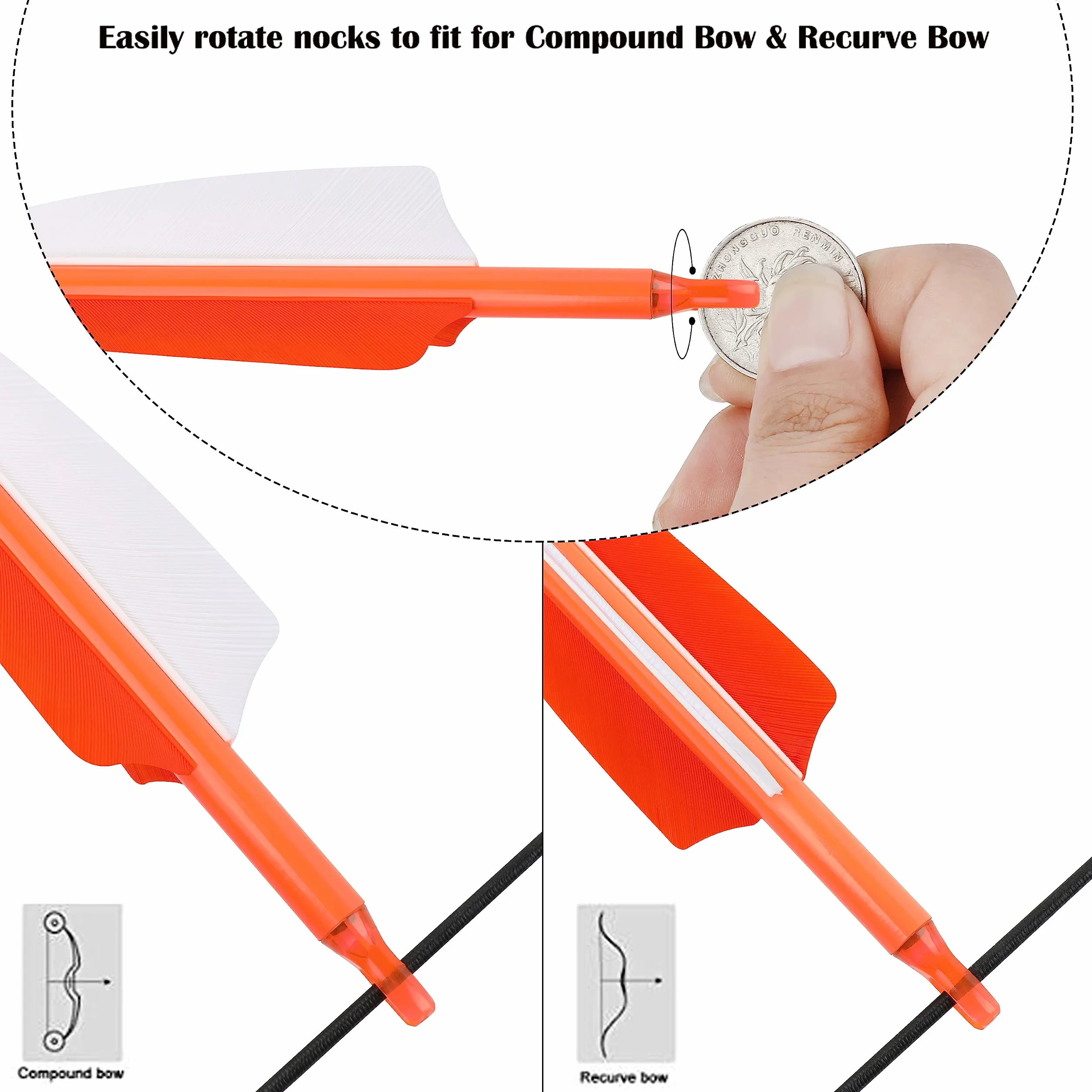 Flèches de Chasse en Carbone Fluorescent 31" 500 600 Spine Plume Naturelle Tir à l'Arc Poulies Recurve Arc Long 6/12pcs