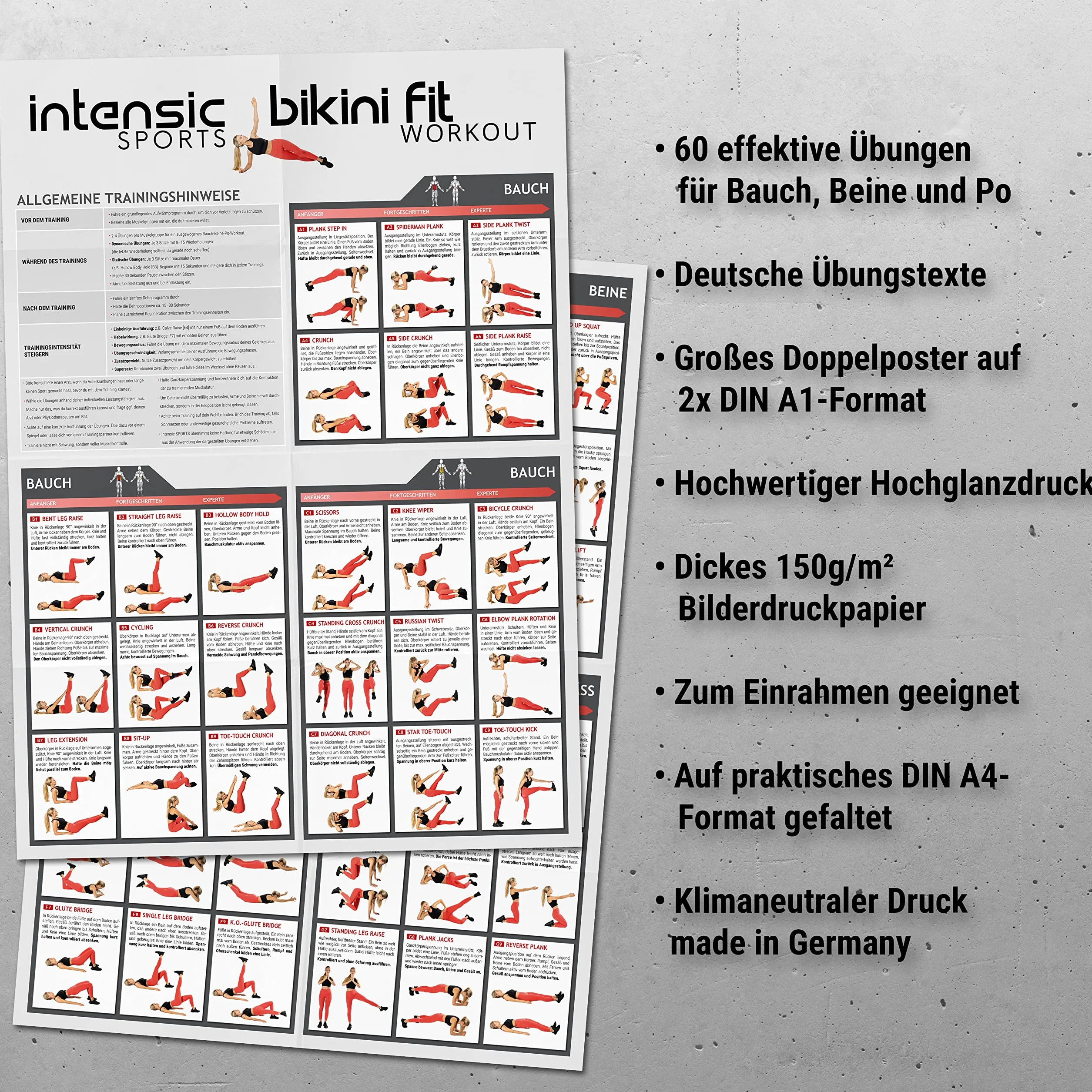 Poster d'Entraînement Abdominaux Jambes Fesses - 60 Exercices Fitness Développement Musculaire Maison
