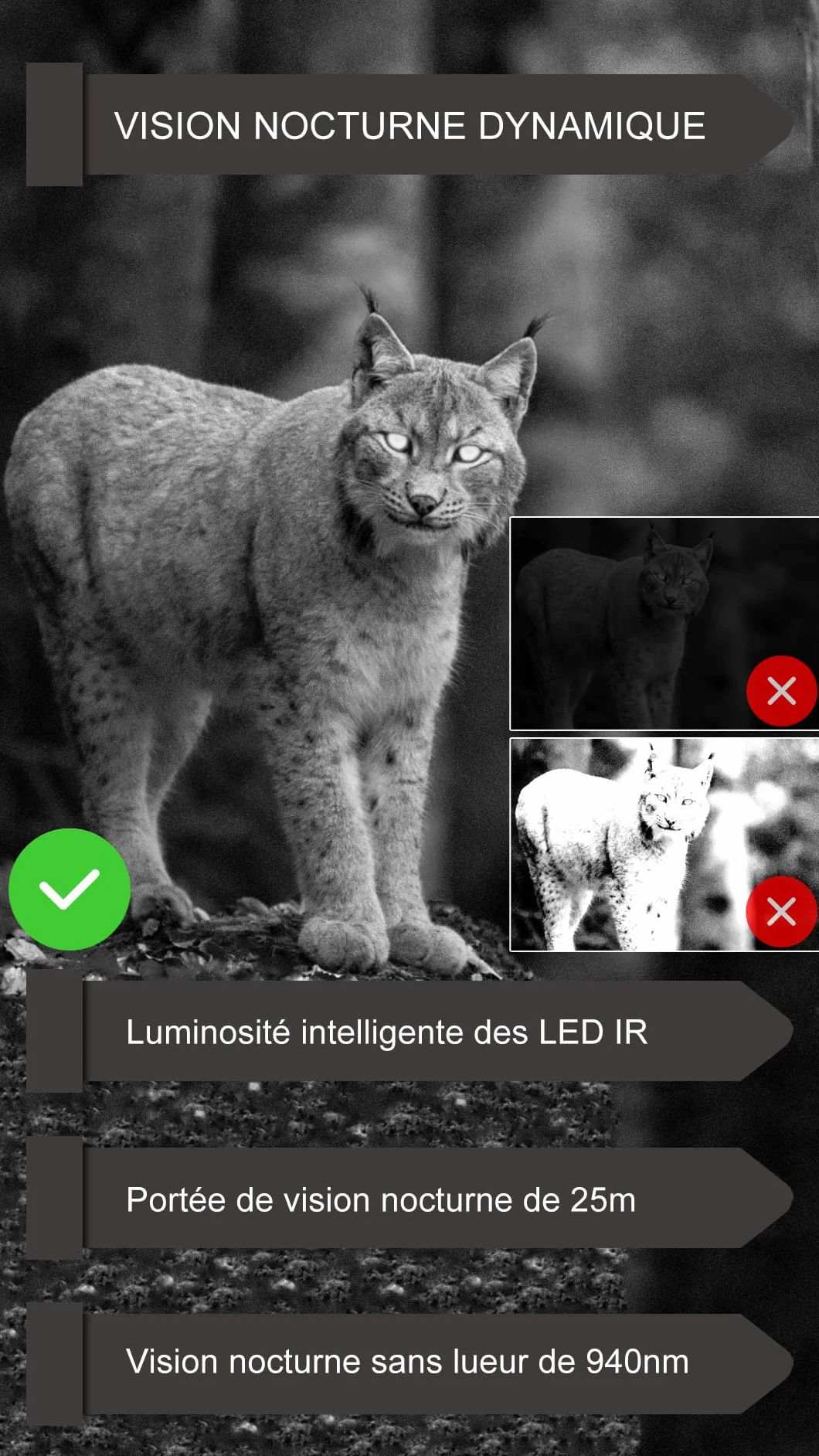 GardePro E6P Caméra de Chasse, WiFi, Batterie Rechargeable 8000 mAh, 64MP 1296P, Caméra E6P No Glow Infrarouge Vision Nocturne, Champ de Vision Large de 110°
