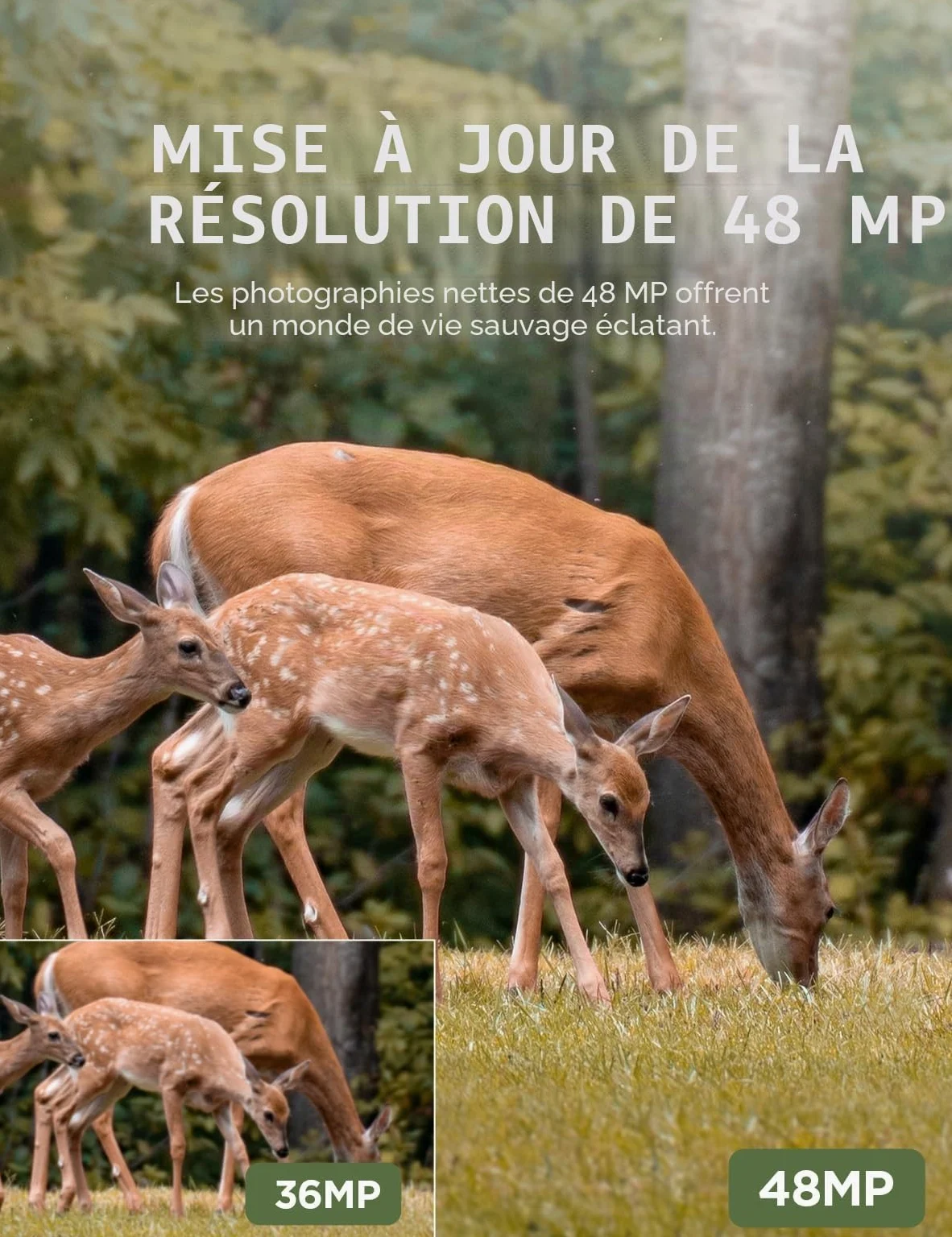 CEYOMUR Camera de Chasse, 4K 30fps Caméra de Chasse avec Vision Nocturne Infrarouge Étanche IP66 et Activée par Le Mouvement Piege Photographique pour la Surveillance de la Faune