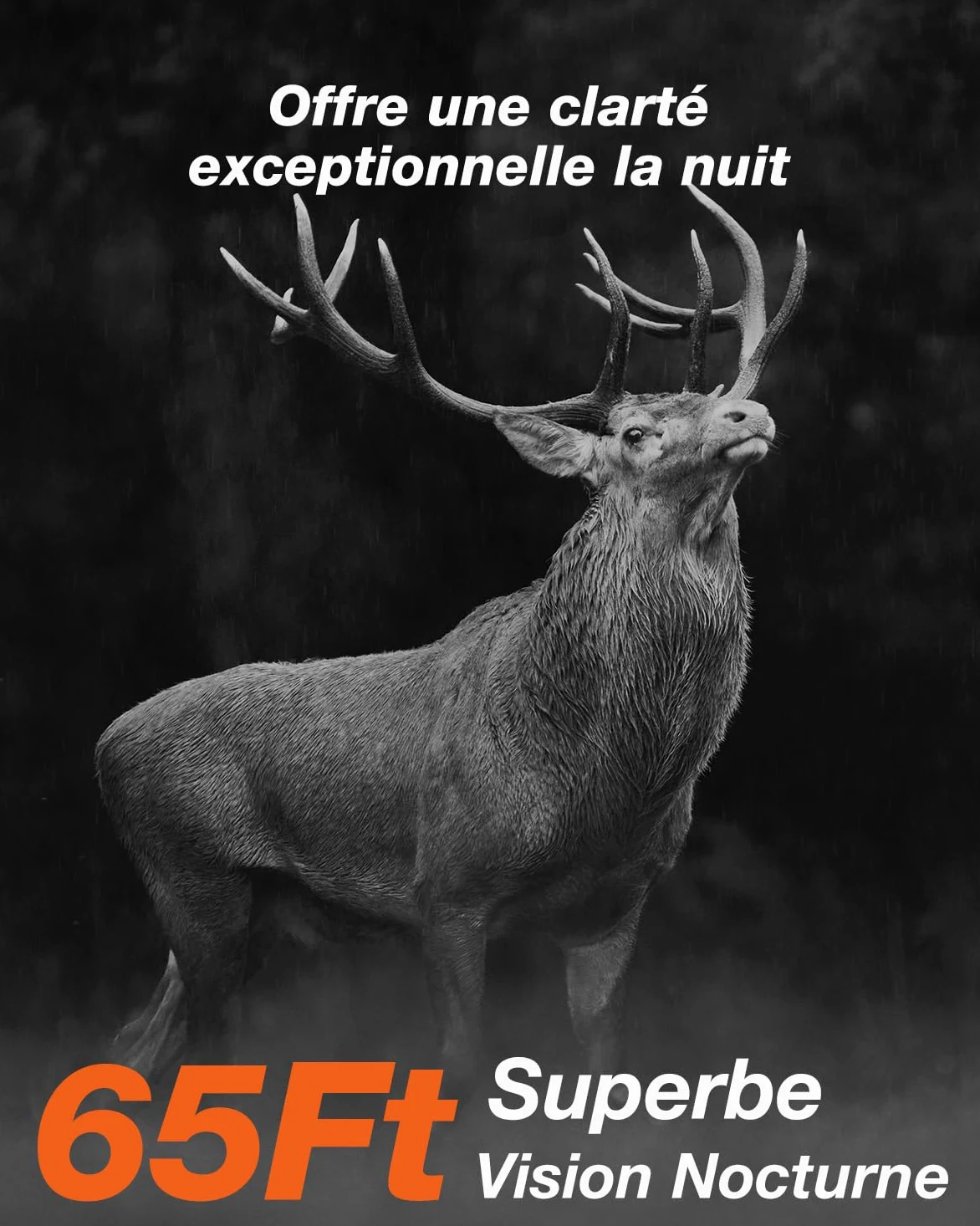iZEEKER Solaire WiFi Caméra de Chasse, 4K 64MP Bluetooth Caméra de Chasse avec Vision Nocturne, 0,1s Temps de Déclenchement Activé par Mouvement, 5200mAh Batterie
